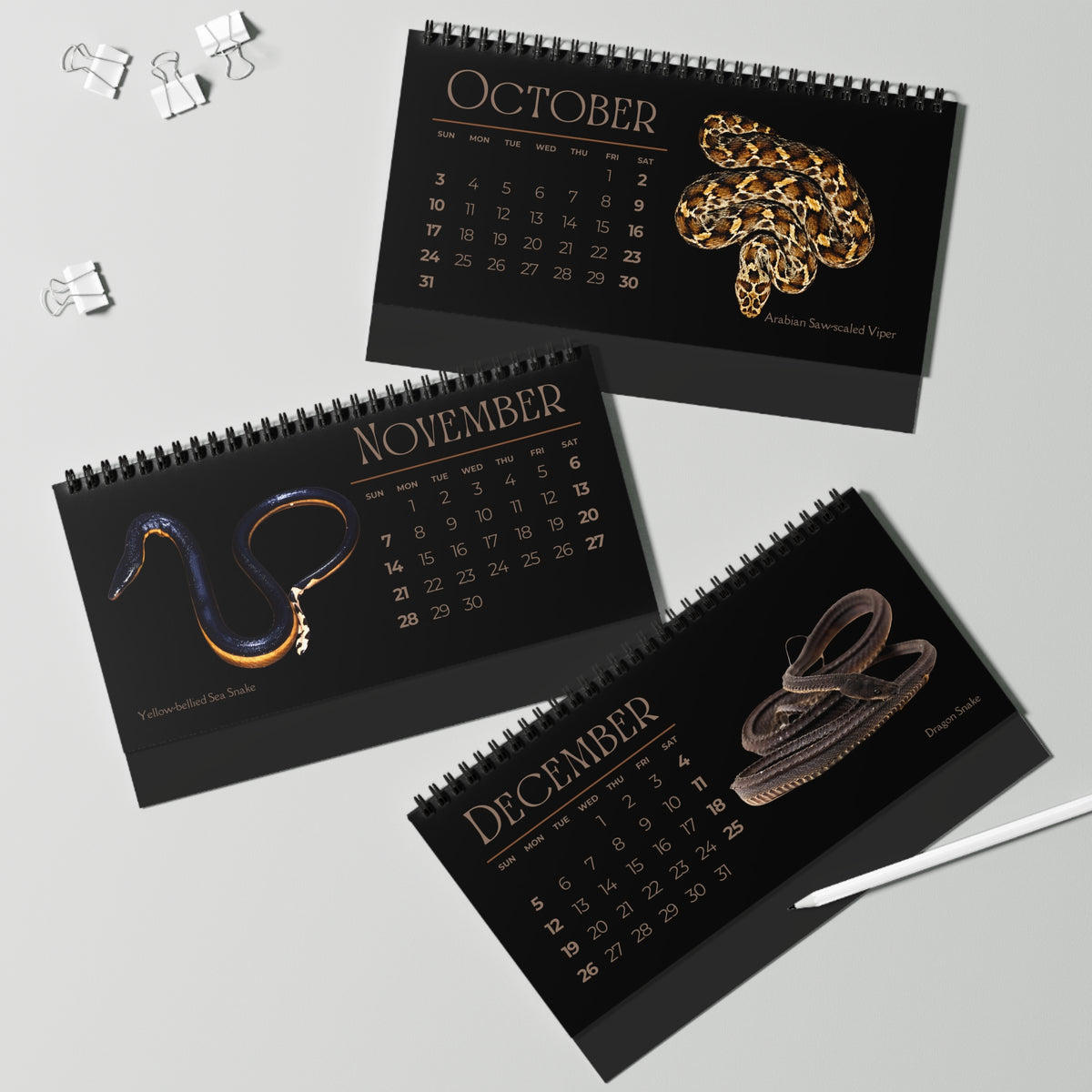 Striking Snakes of 2027 Desktop Calendar