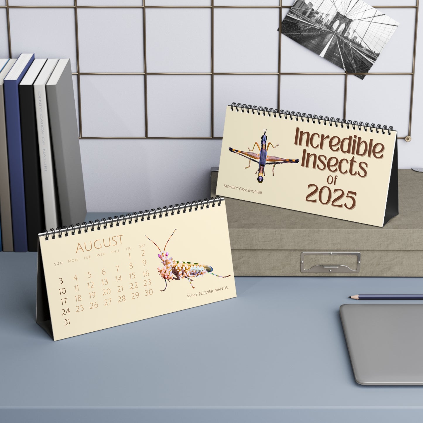 Incredible Insects of 2025 Desktop Calendar