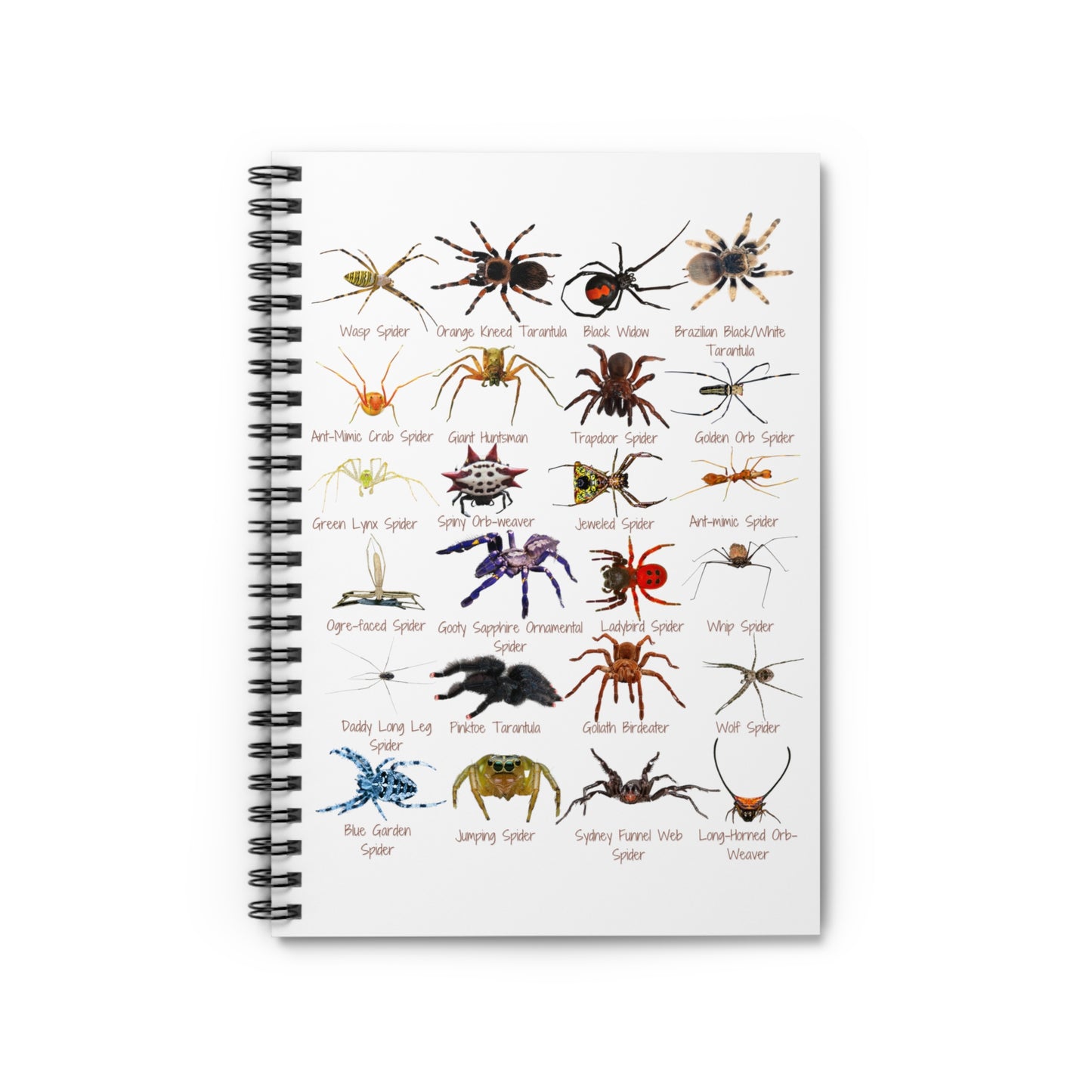 Stupendous Spiders Spiral Notebook - Ruled Line