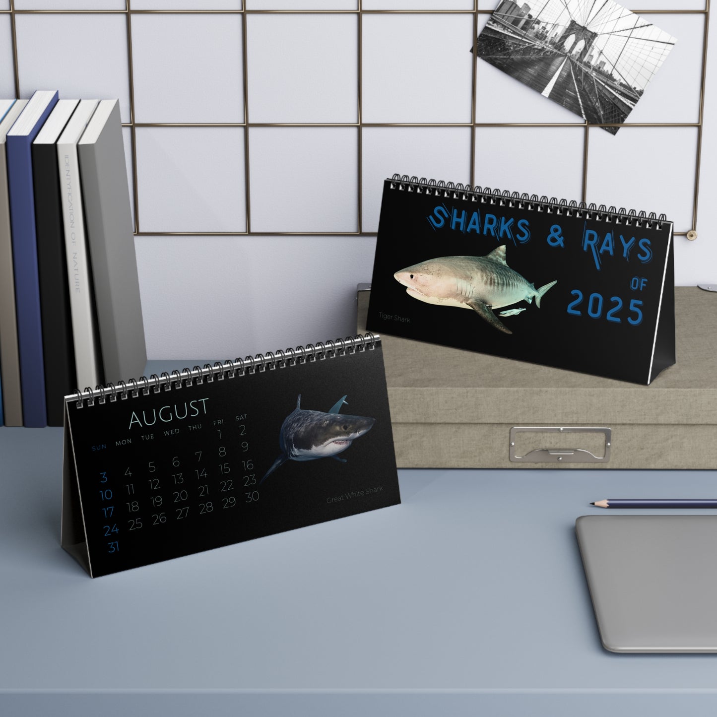 Sharks & Rays of 2025 Desktop Calendar