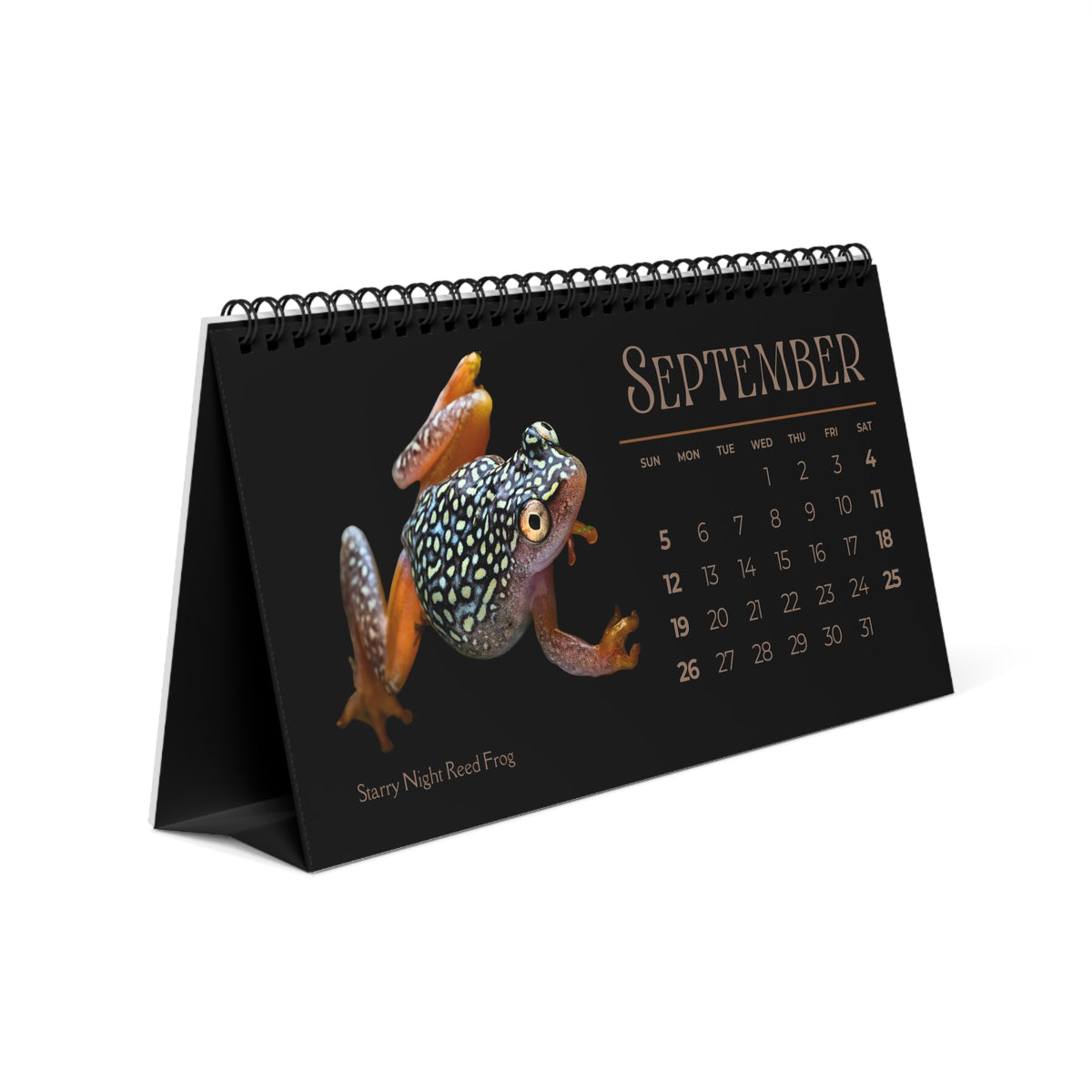 Frogs & Toads of 2027 Desktop Calendar