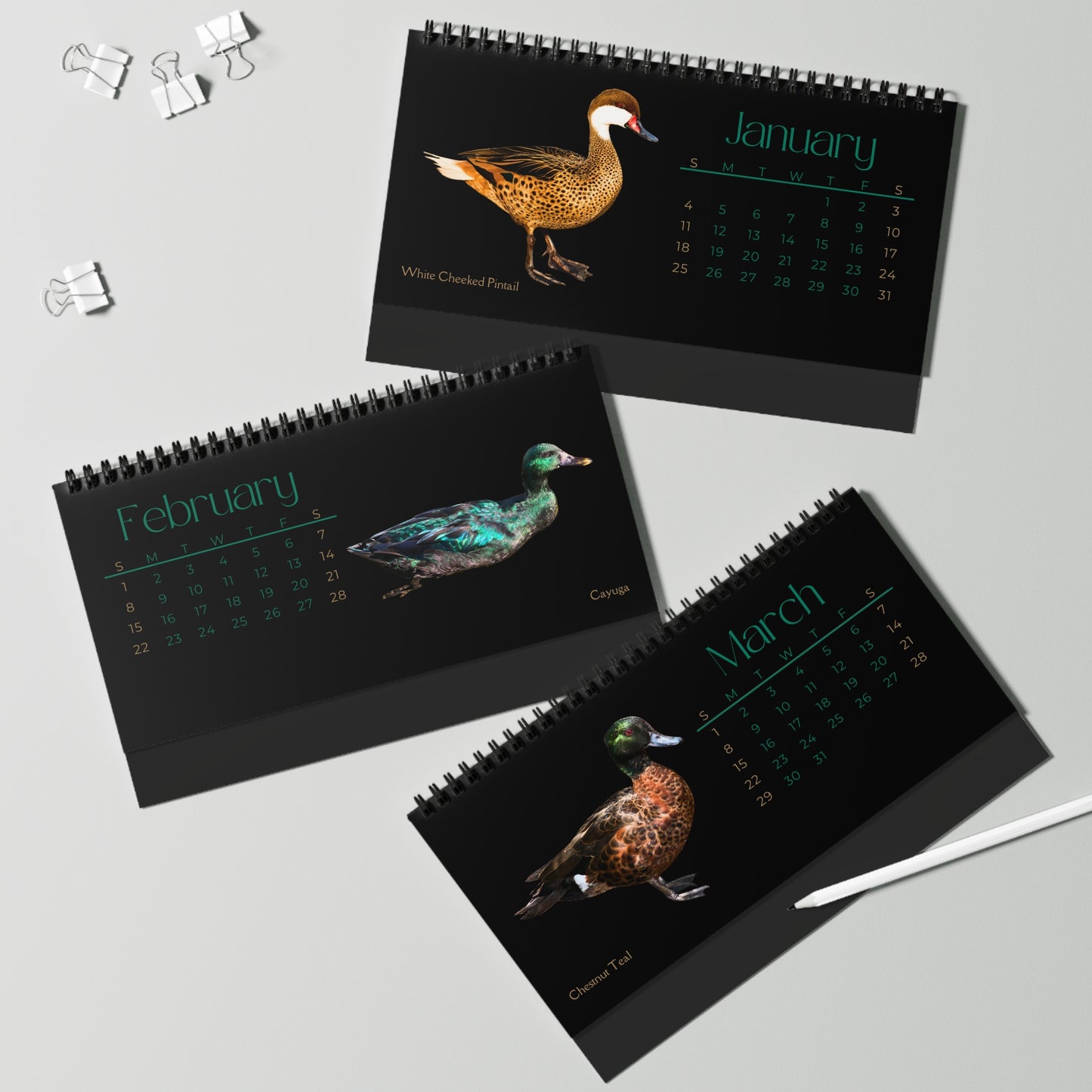 Dapper Ducks of 2026 Desktop Calendar