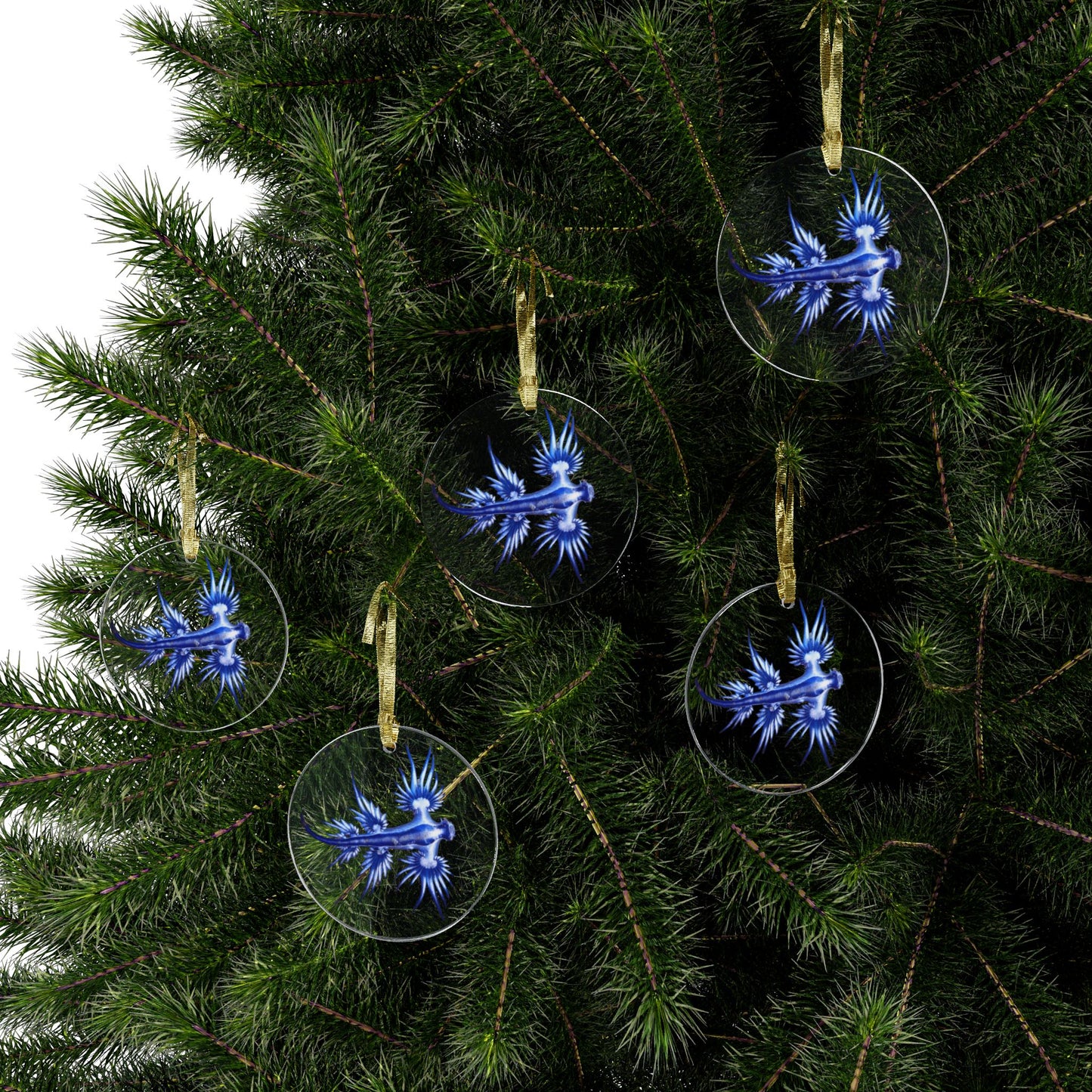 Blue Dragon (Glaucus Atlanticus) Acrylic Ornaments