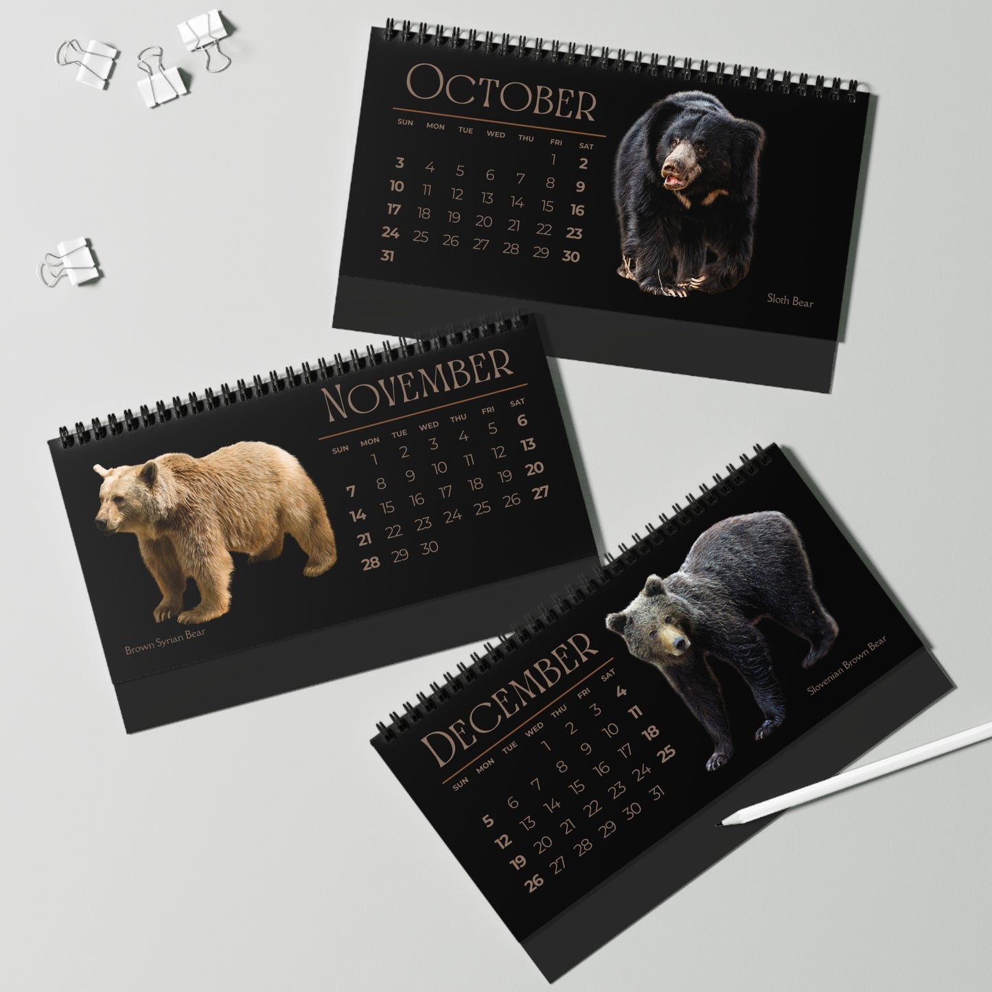 Bodacious Bears of 2027 Desktop Calendar