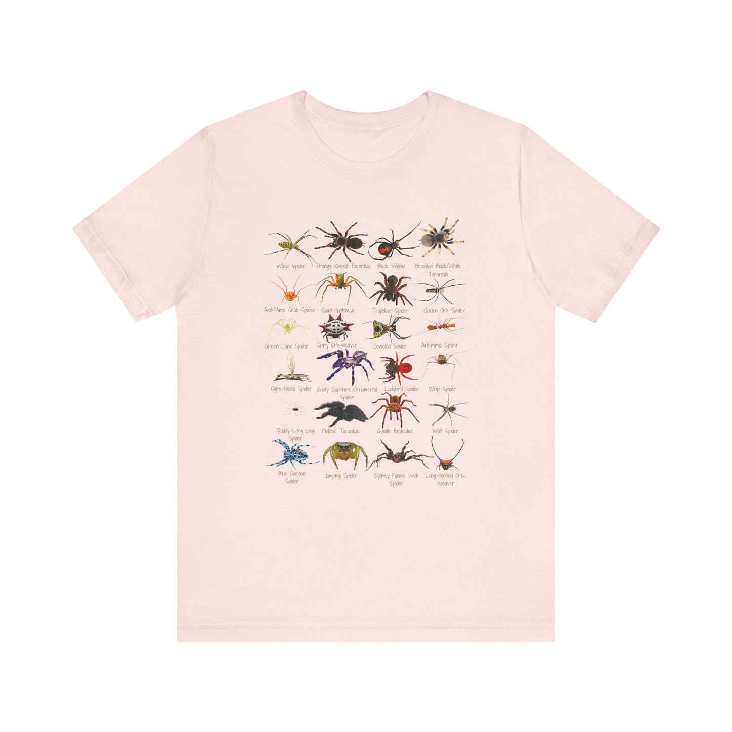 Stupendous Spiders T-shirt with 24 unique spiders