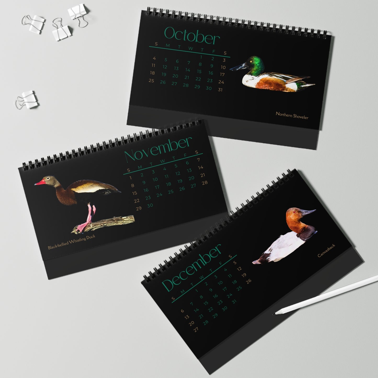 Dapper Ducks of 2026 Desktop Calendar