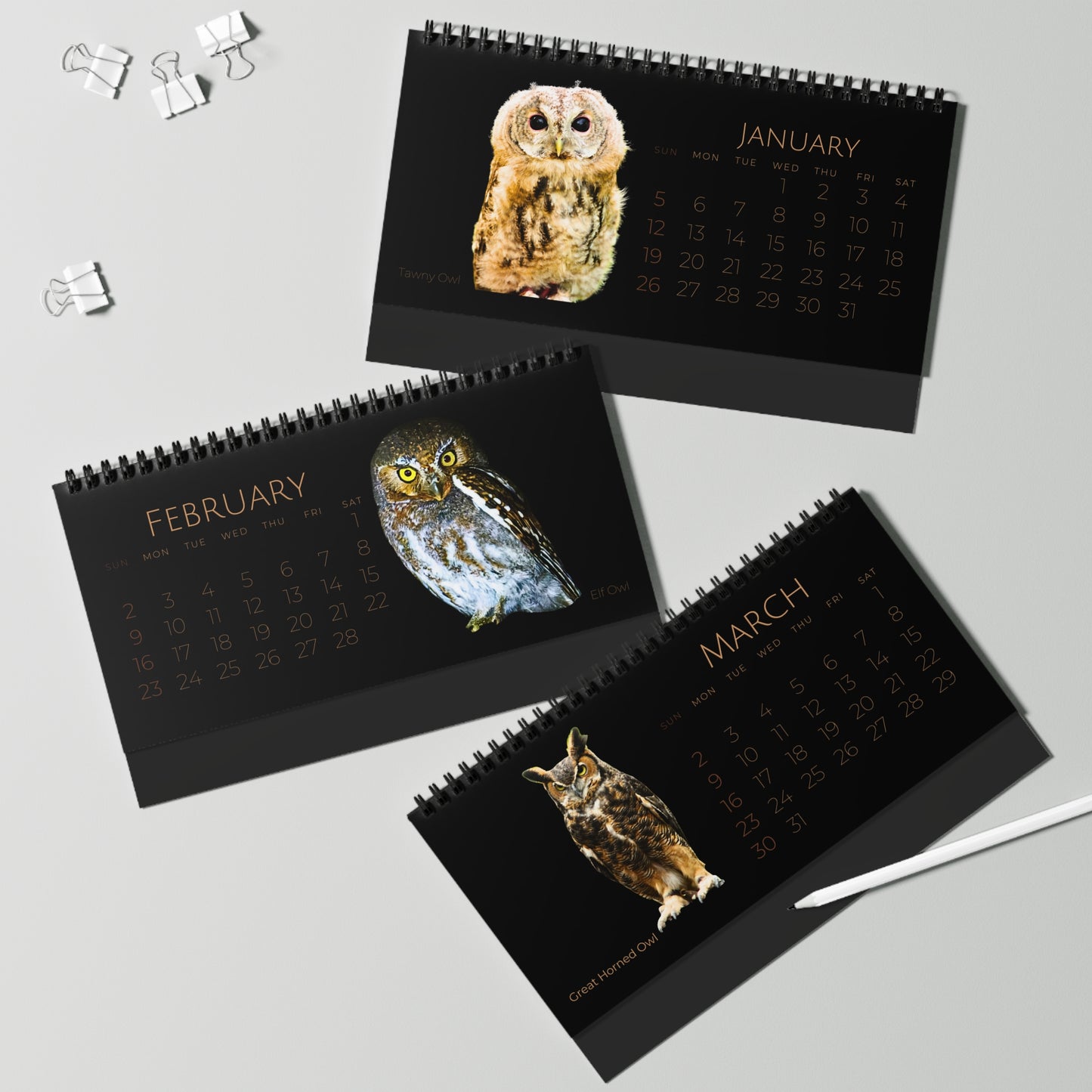 Owls of 2025 Desktop Calendar