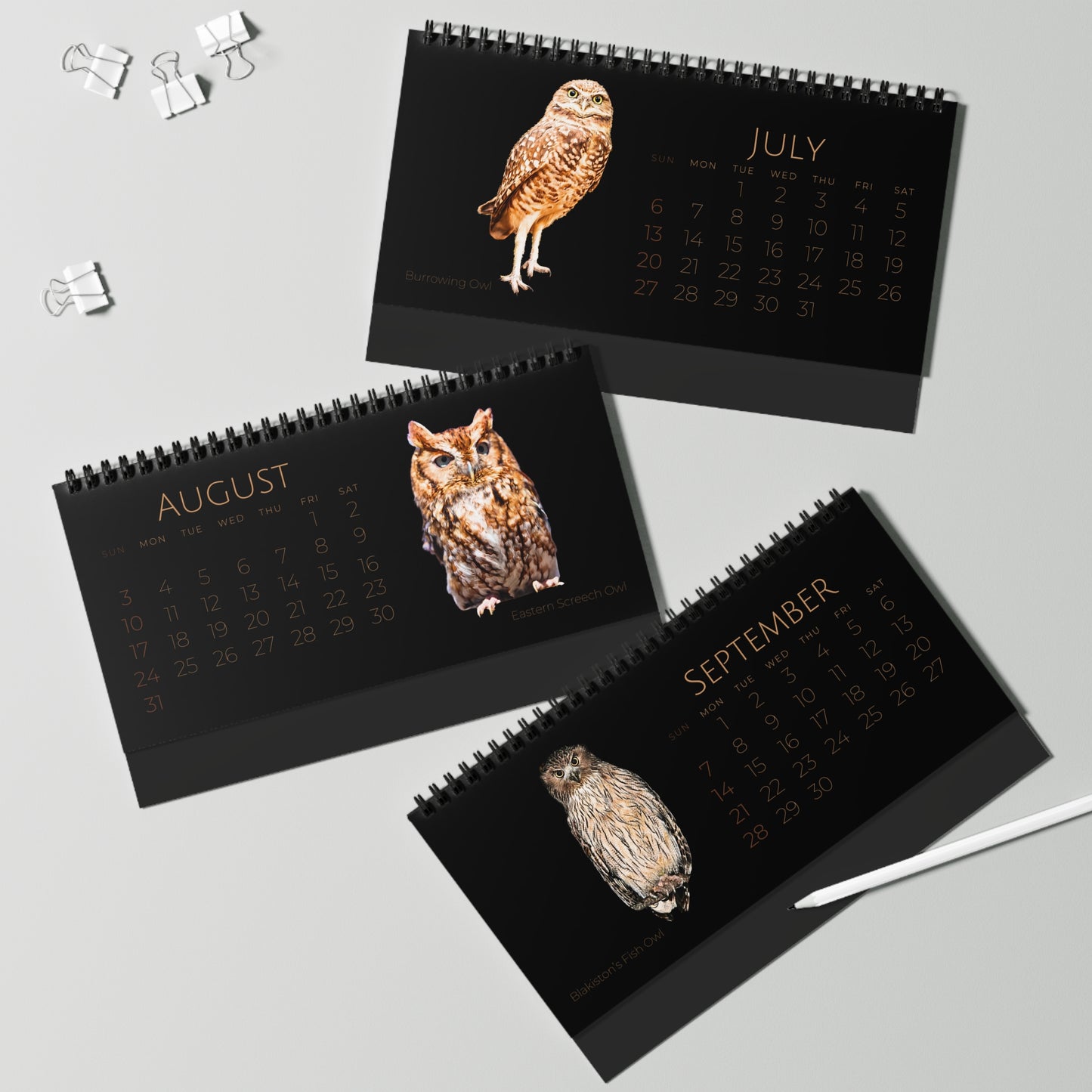 Owls of 2025 Desktop Calendar