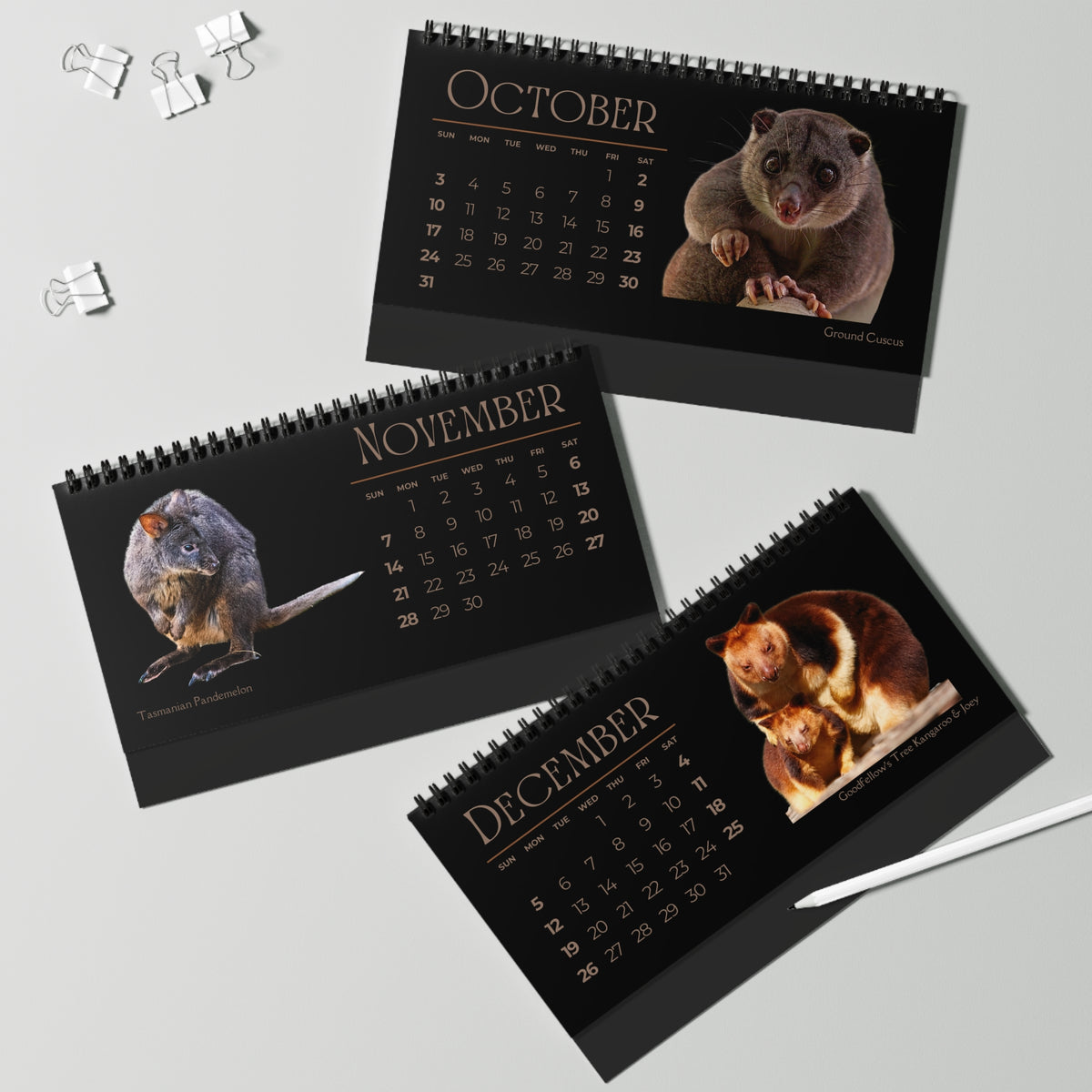 Magnificent Marsupials of 2027 Desktop Calendar