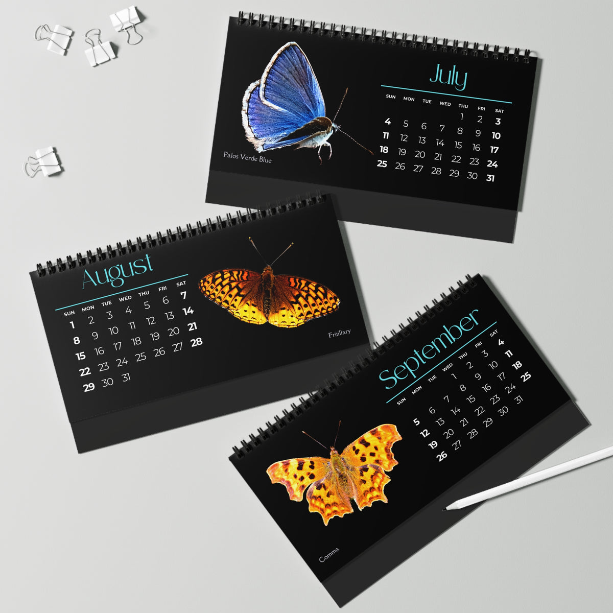 Beautiful Butterflies of 2027 Desktop Calendar