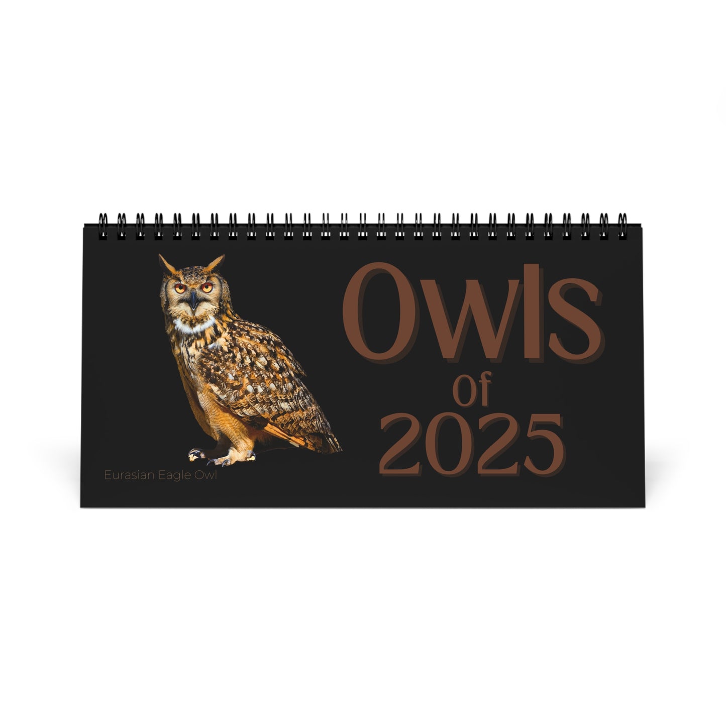 Owls of 2025 Desktop Calendar