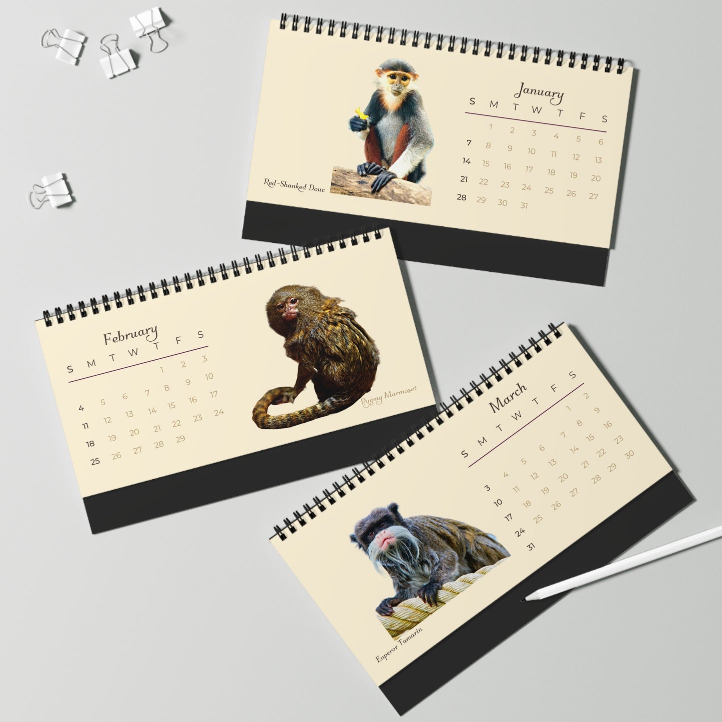 Mightiest Monkeys of 2024 Desk Calendar