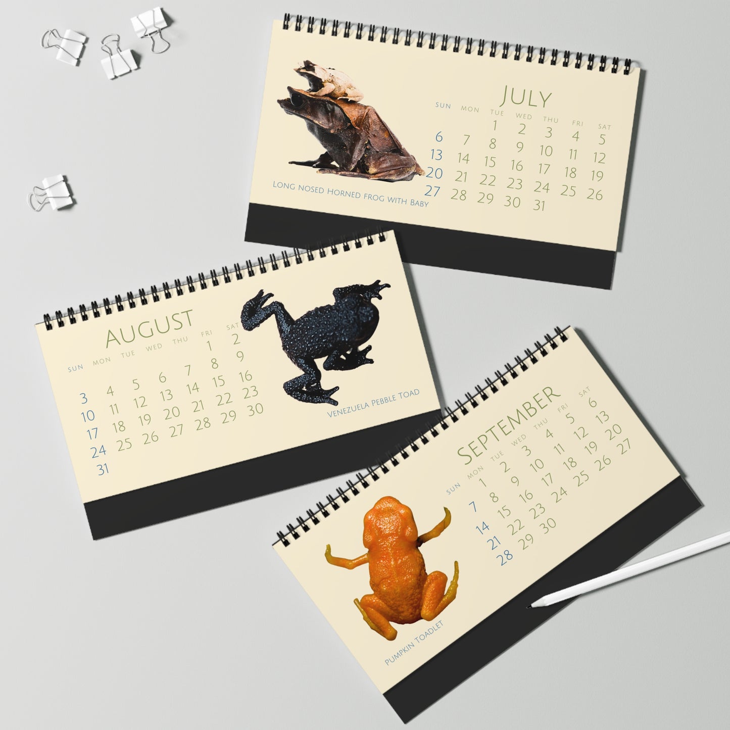 Frogs & Toads of 2025 Desktop Calendar