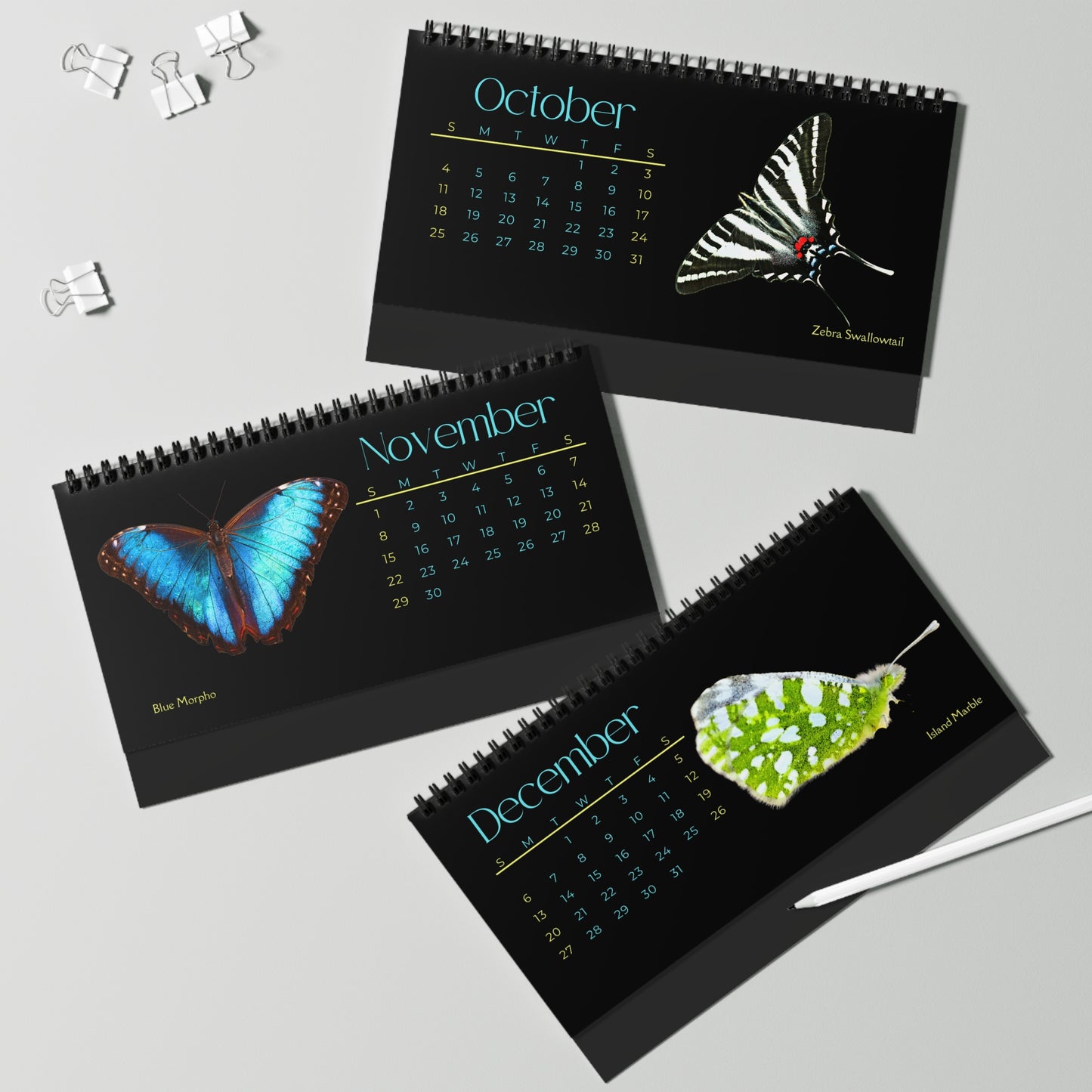 Beautiful Butterflies of 2026 Desktop Calendar