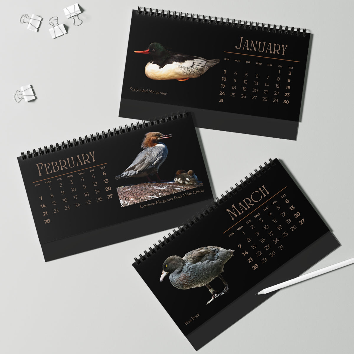 Dapper Ducks of 2027 Desktop Calendar
