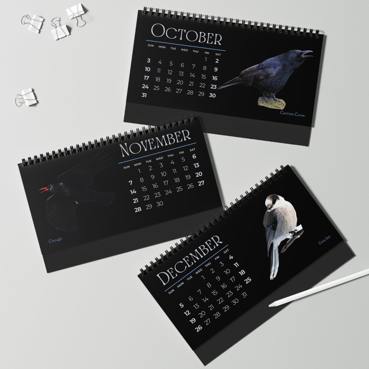 Cool Corvids of 2027 Desktop Calendar