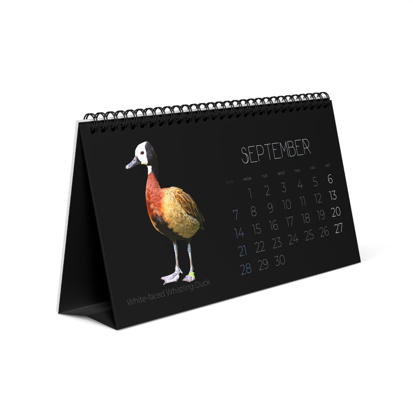 Dapper Ducks of 2025 Desktop Calendar