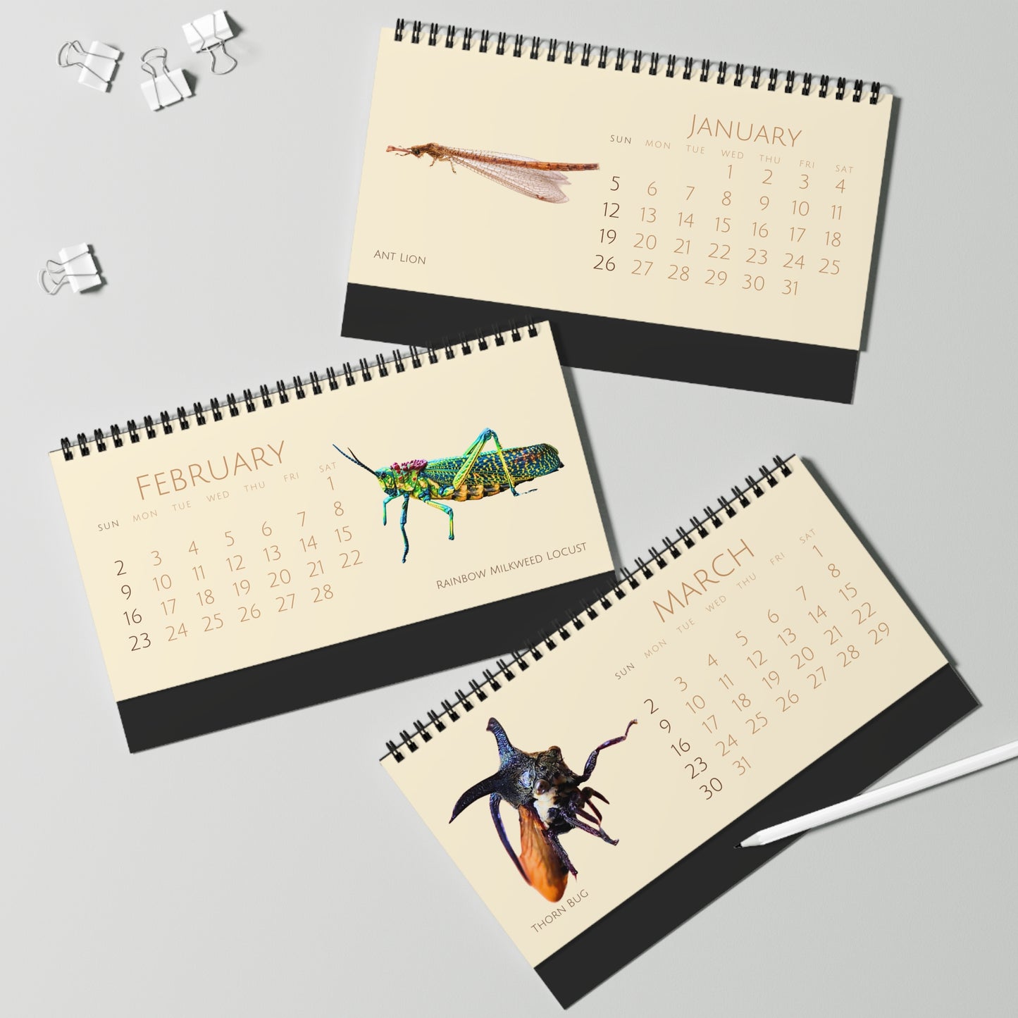 Incredible Insects of 2025 Desktop Calendar