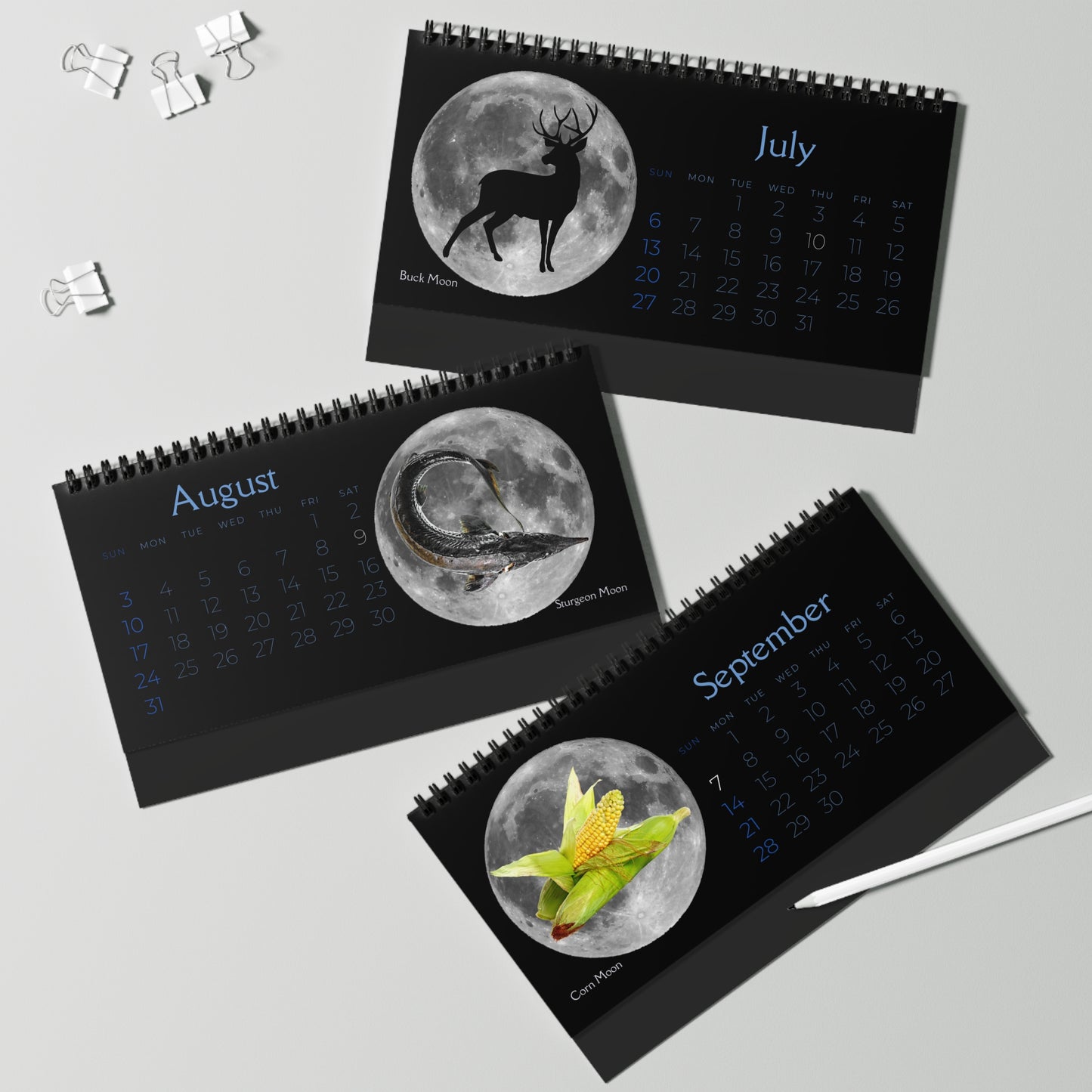 Full Moons of 2025 Desktop Calendar