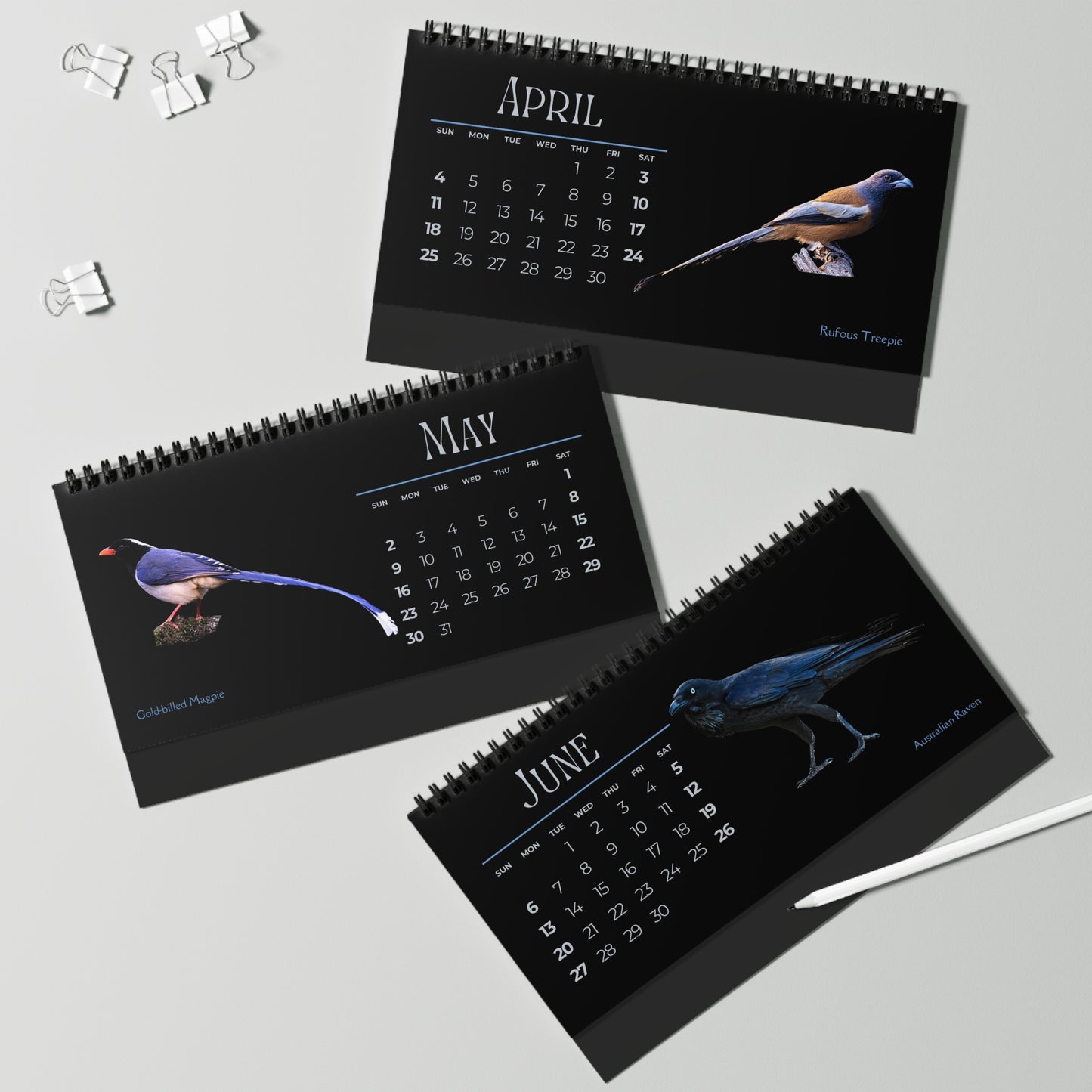 Cool Corvids of 2027 Desktop Calendar