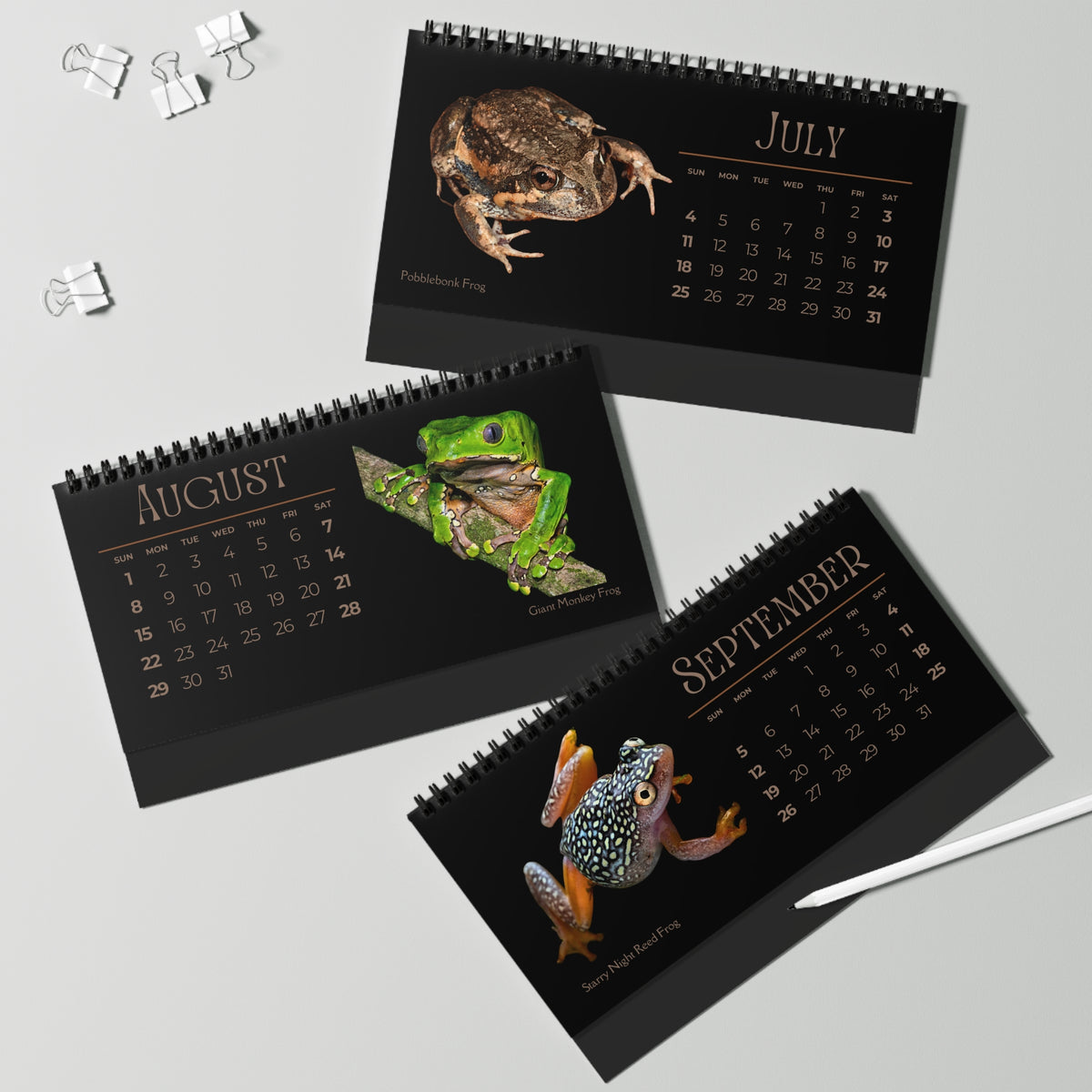 Frogs & Toads of 2027 Desktop Calendar