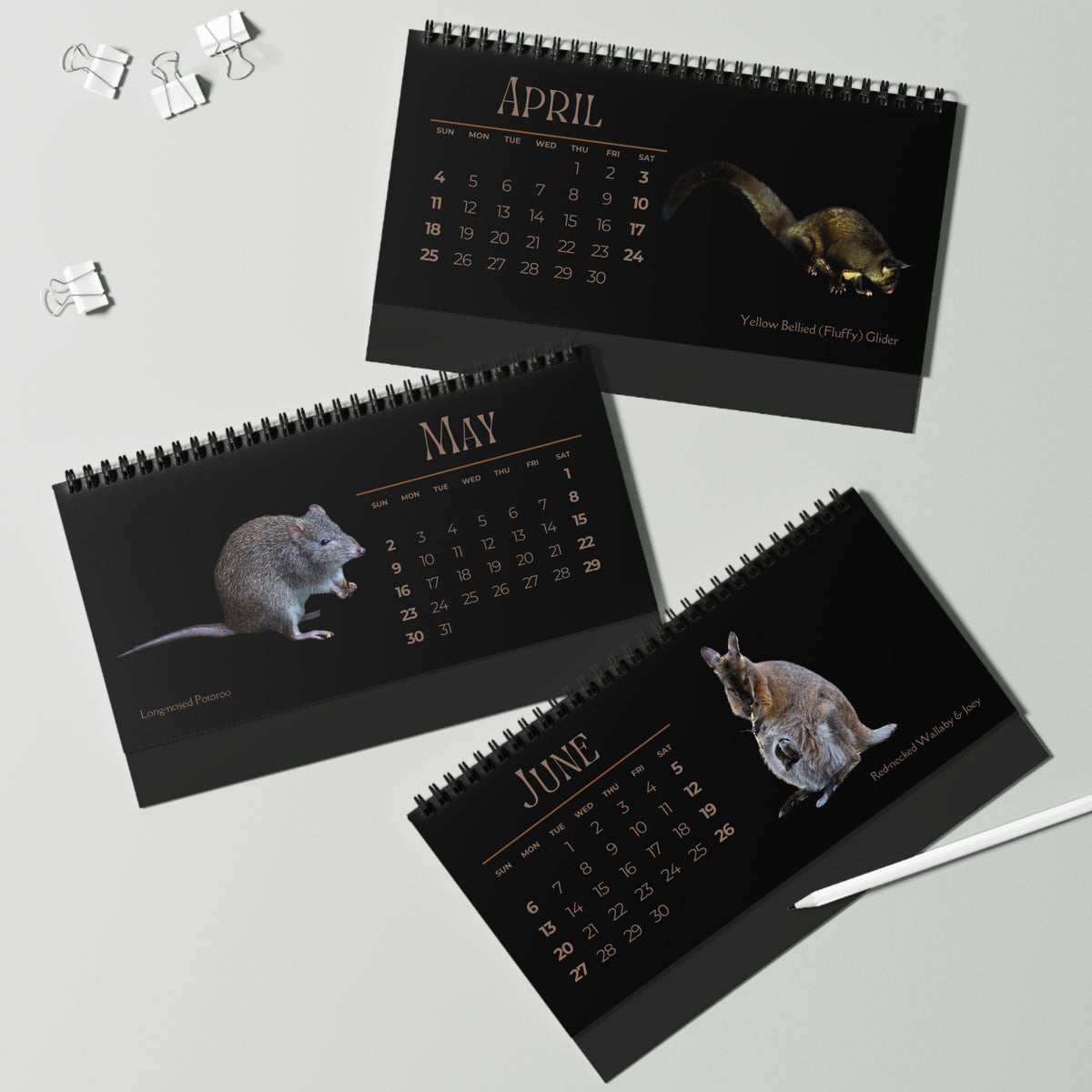 Magnificent Marsupials of 2027 Desktop Calendar