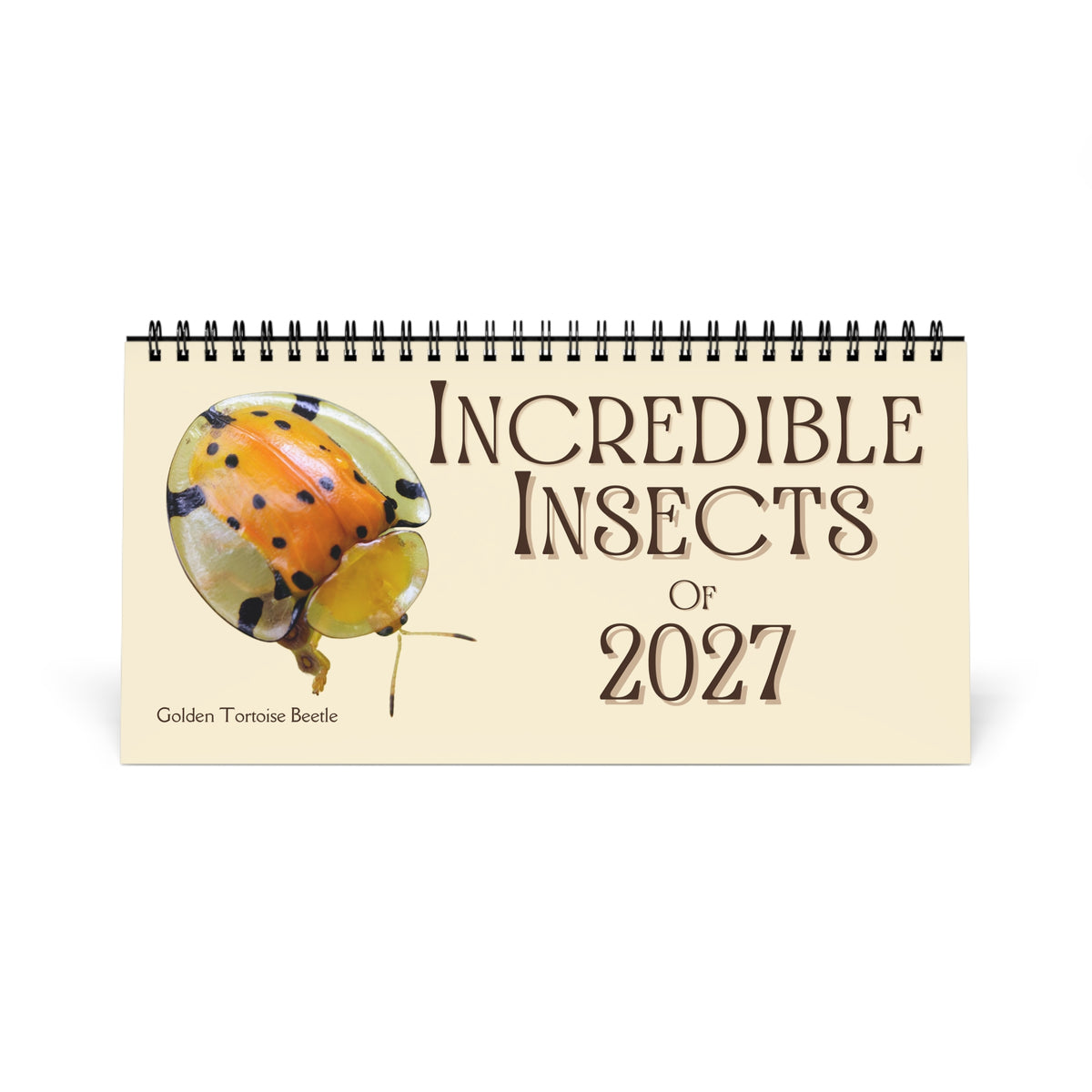 Incredible Insects of 2027 Desktop Calendar