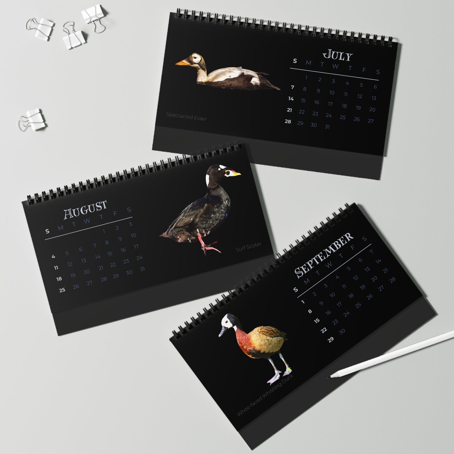 Dapper Ducks of 2024 Desktop Calendar