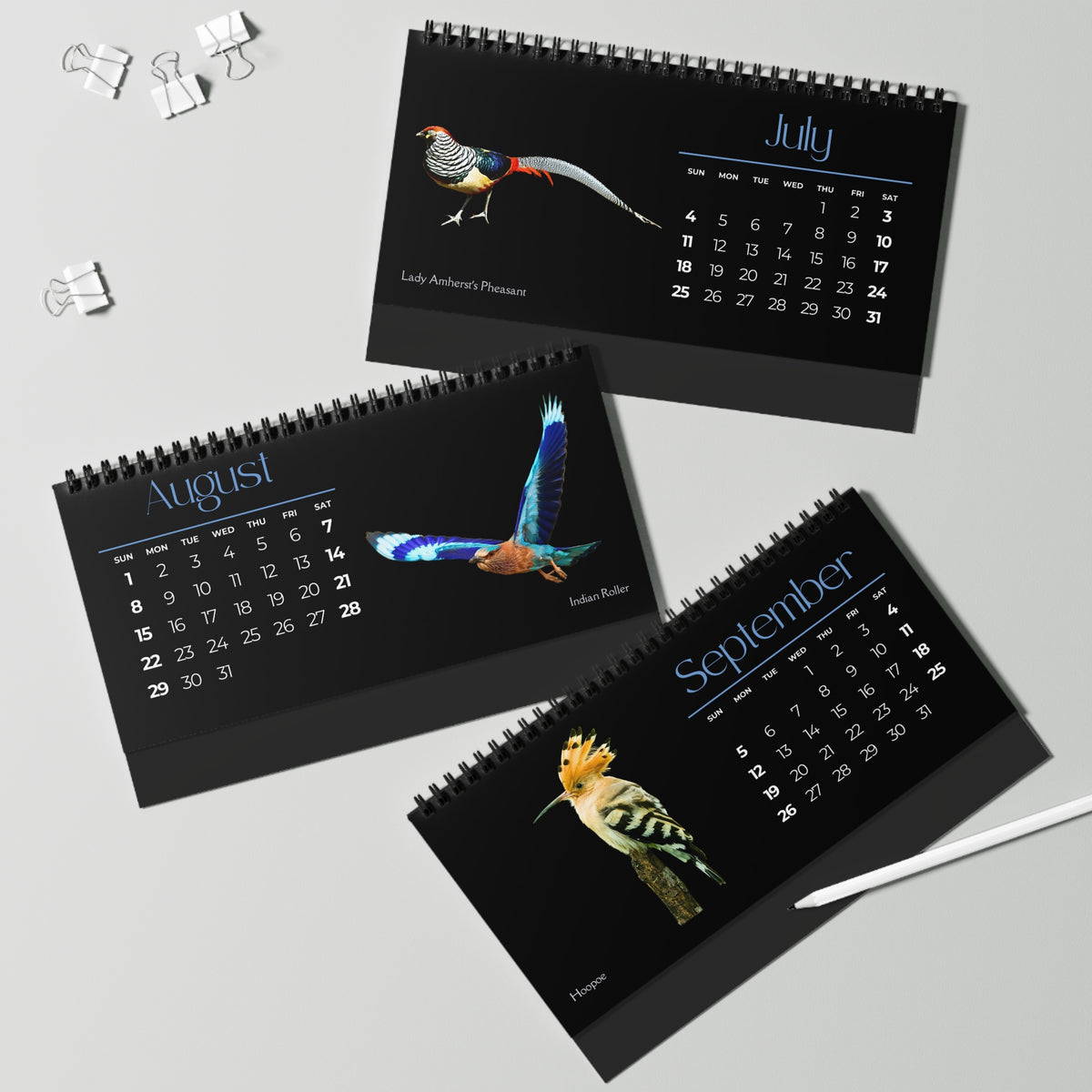 Brilliant Birds of 2027 Desktop Calendar