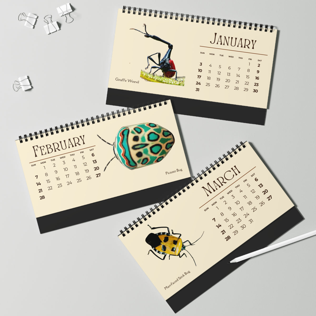 Incredible Insects of 2027 Desktop Calendar