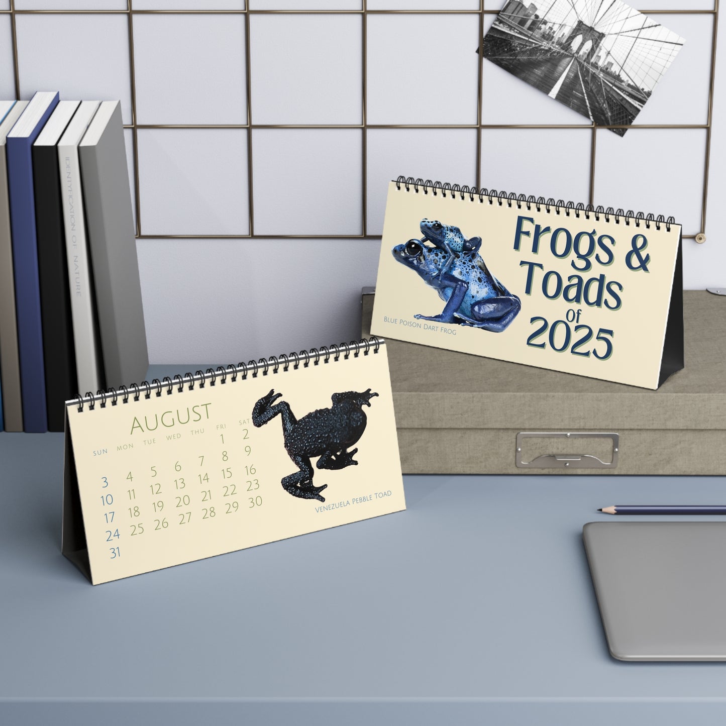 Frogs & Toads of 2025 Desktop Calendar