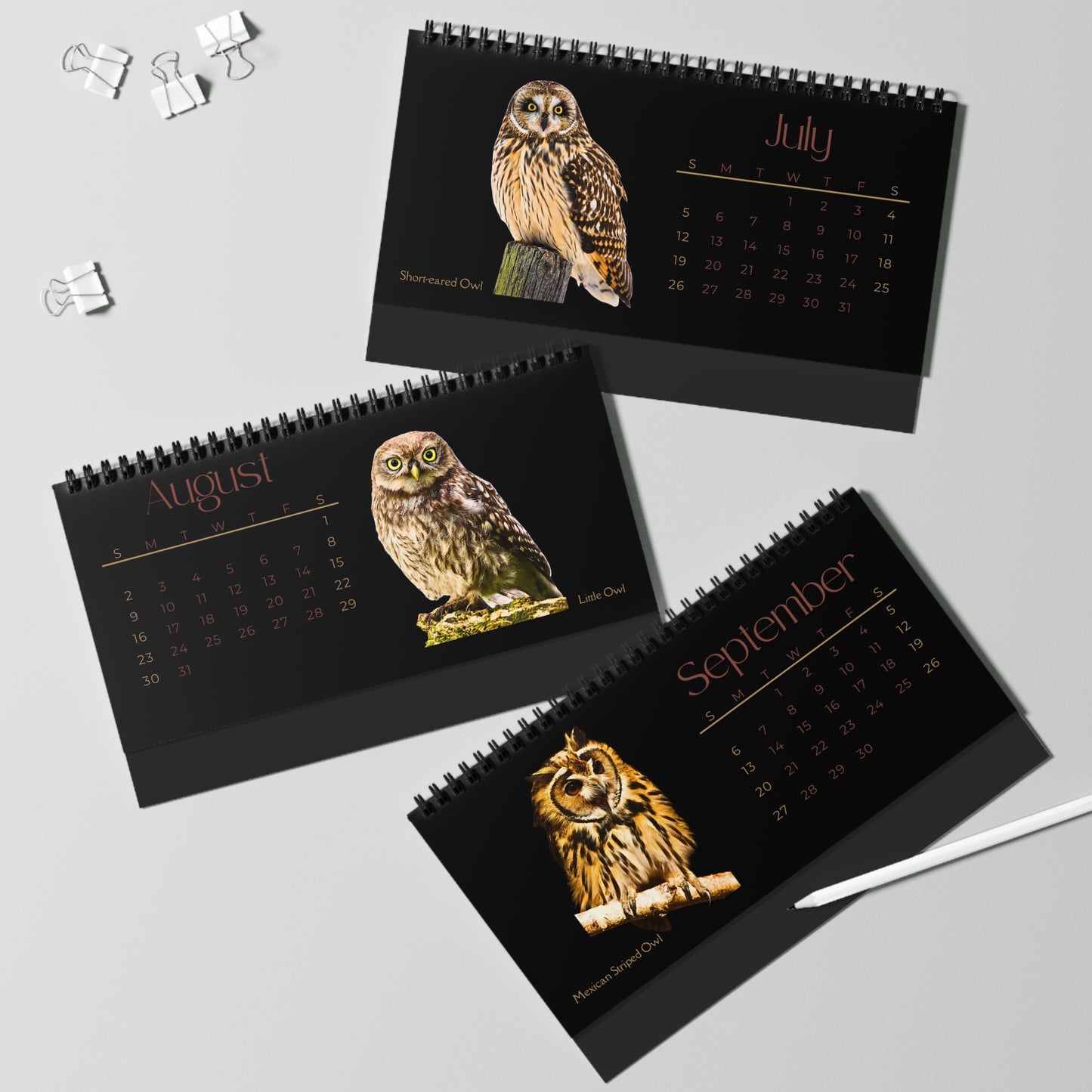 Owls of 2026 Desktop Calendar