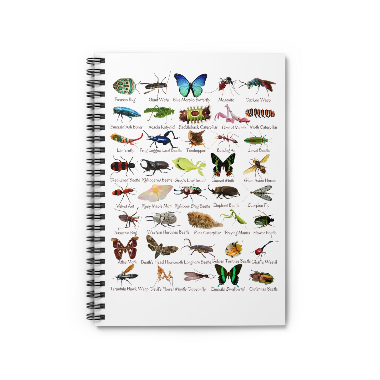 Impressive Insects Spiral Notebook - Ruled Line