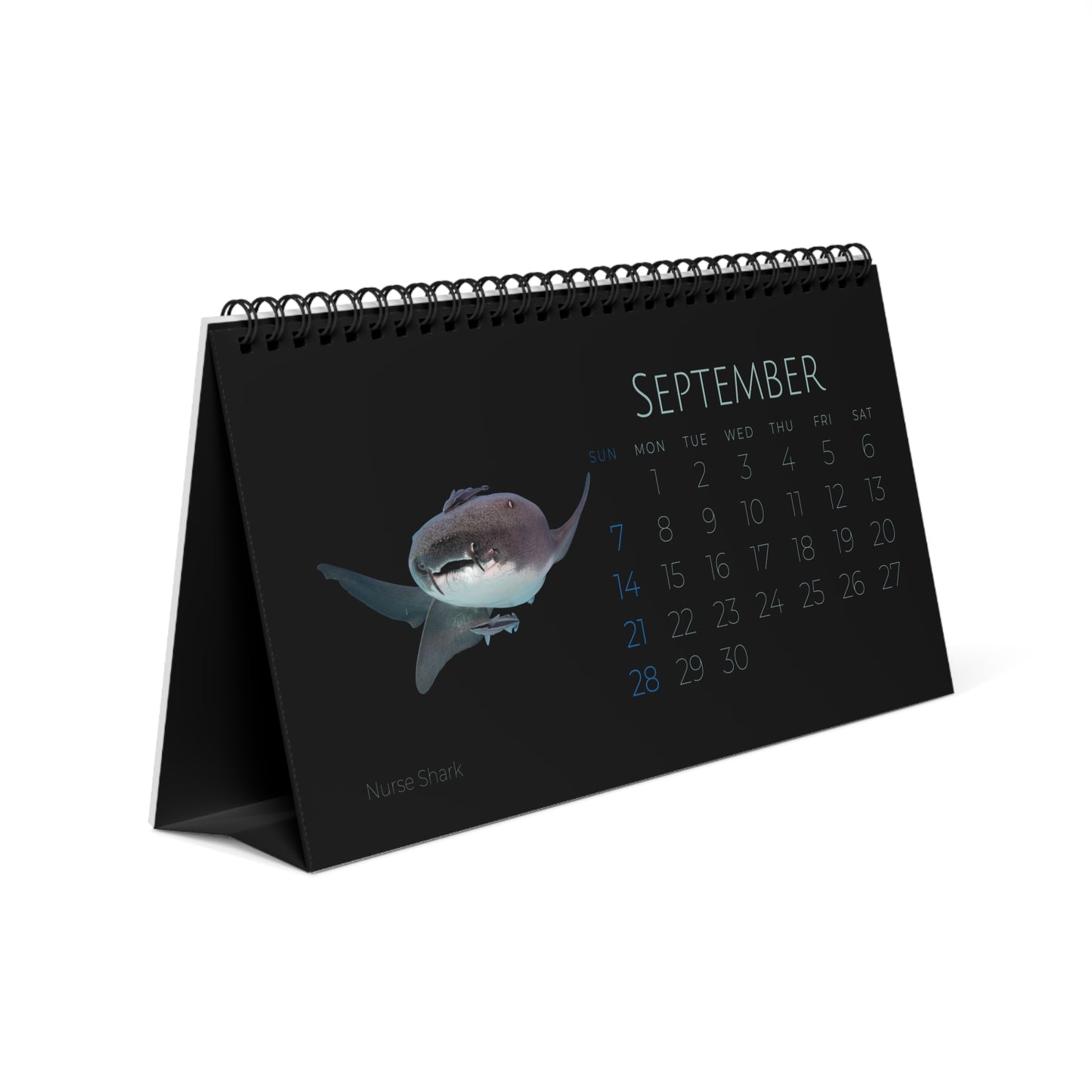 Sharks & Rays of 2025 Desktop Calendar