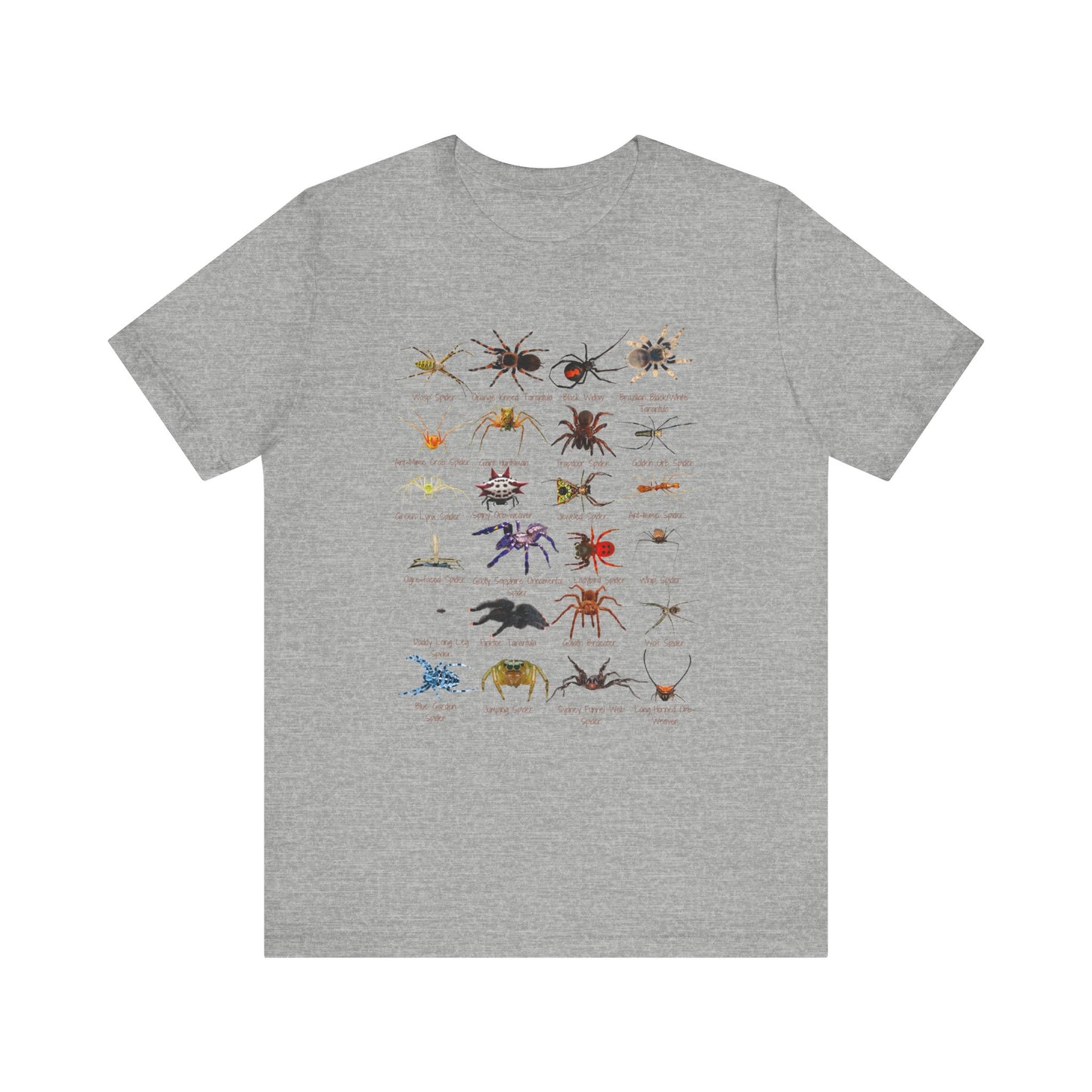 Stupendous Spiders T-shirt with 24 unique spiders