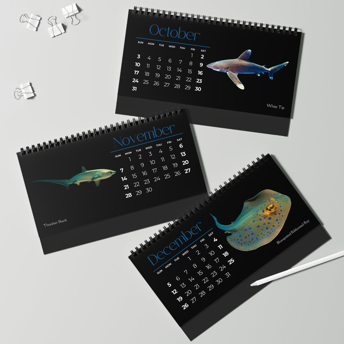 Sharks & Rays of 2027 Desktop Calendar