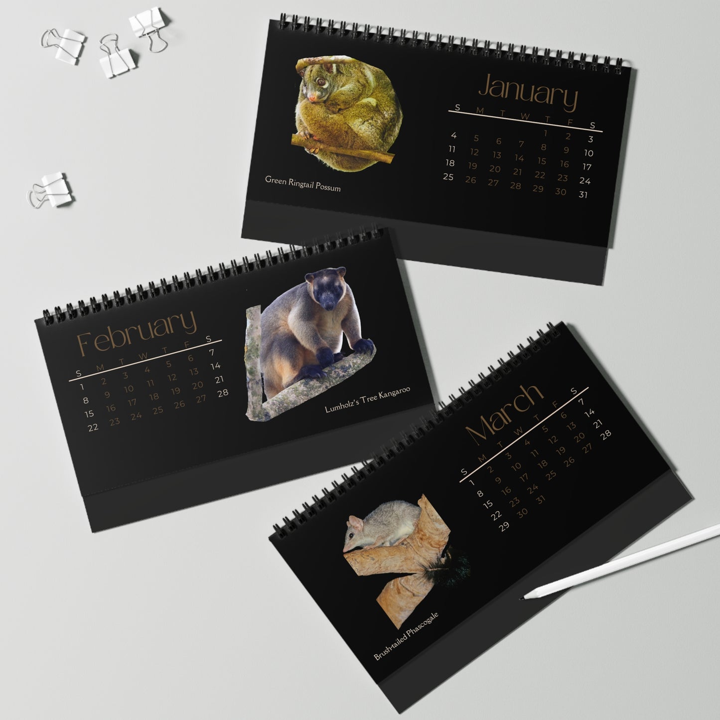 Magnificent Marsupials of 2026 Desktop Calendar