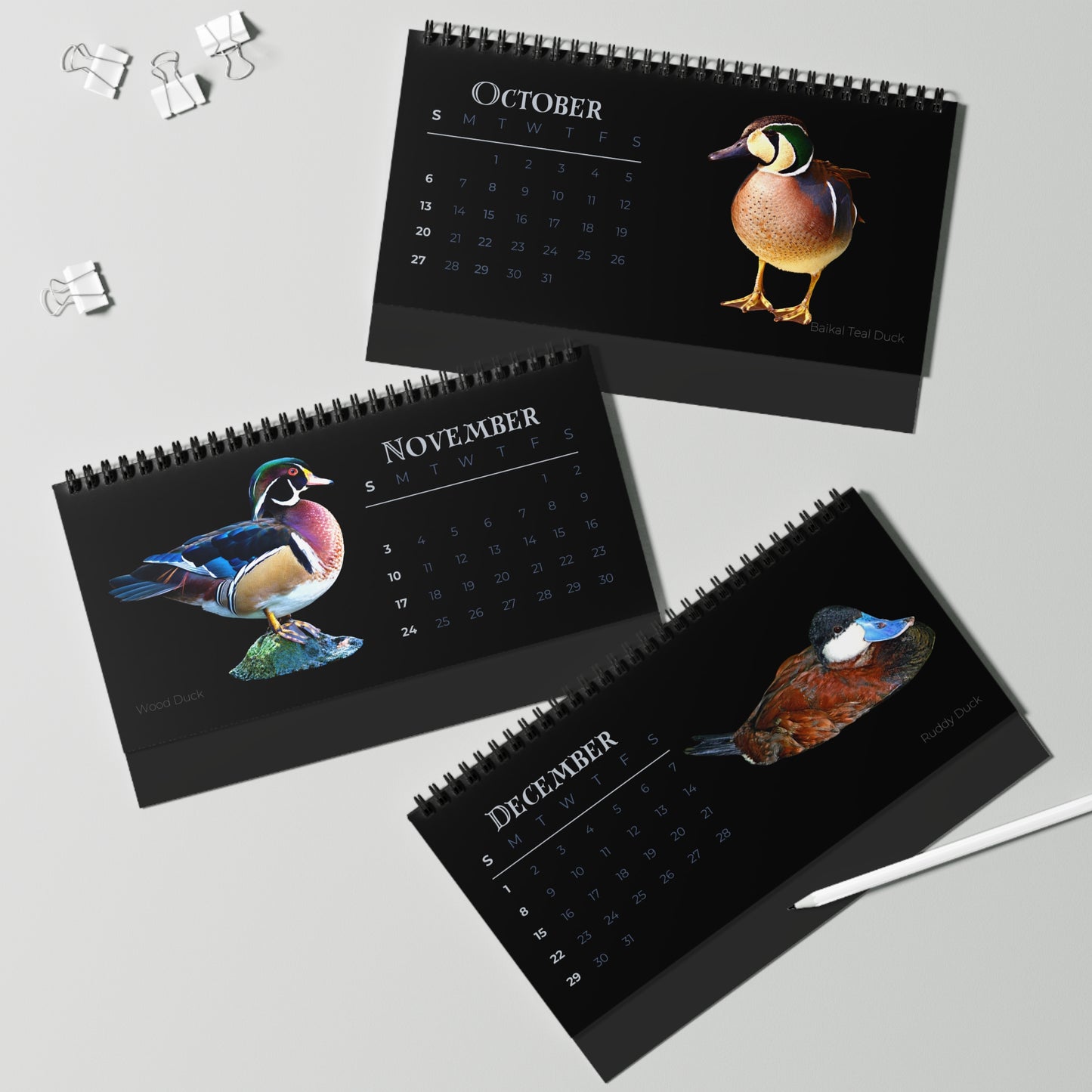 Dapper Ducks of 2024 Desktop Calendar