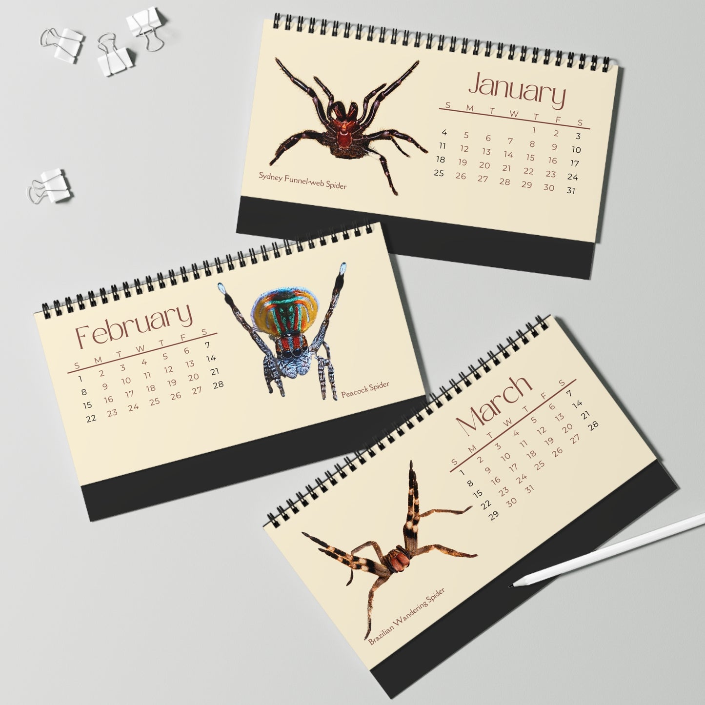 Spiders of 2026 Desktop Calendar