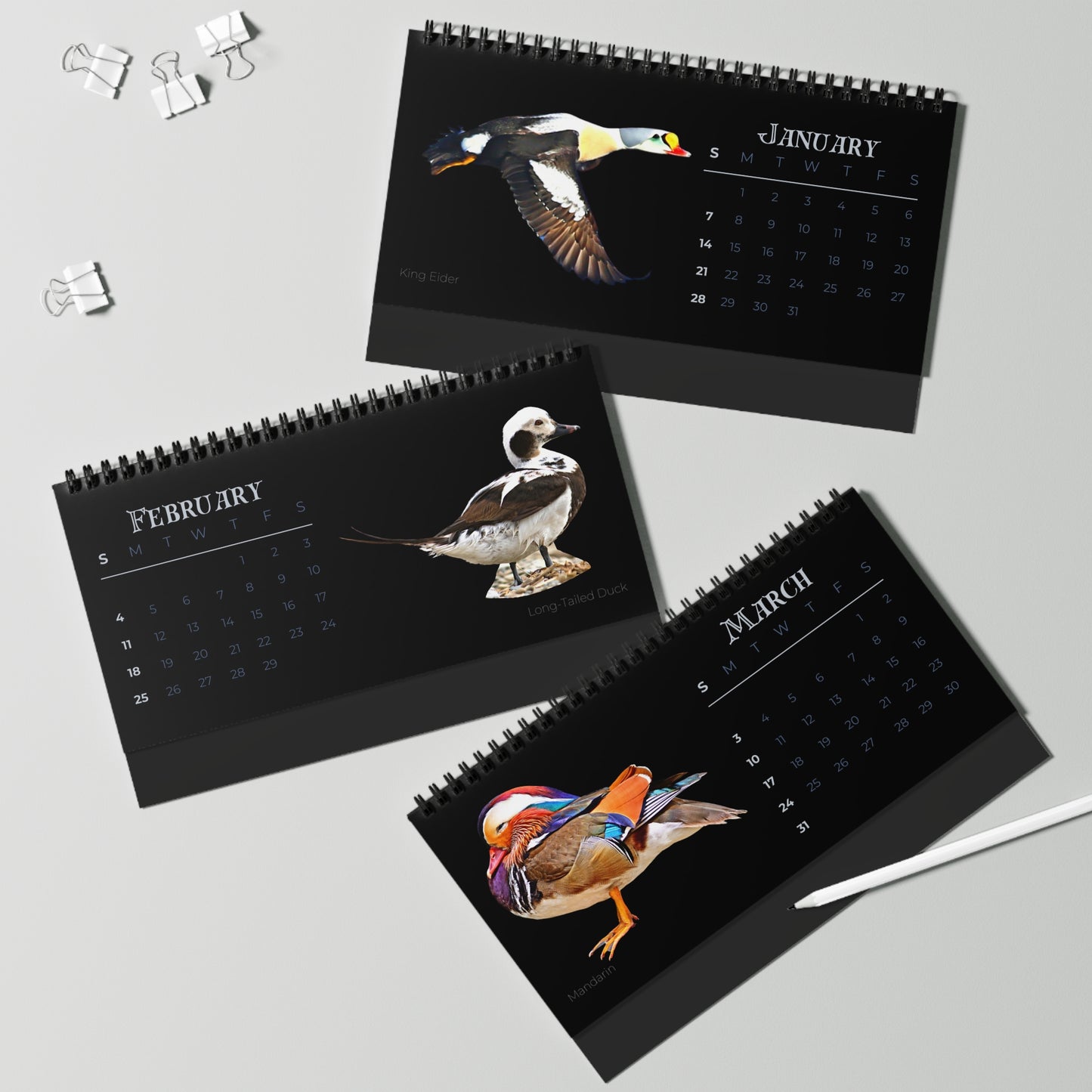 Dapper Ducks of 2024 Desktop Calendar