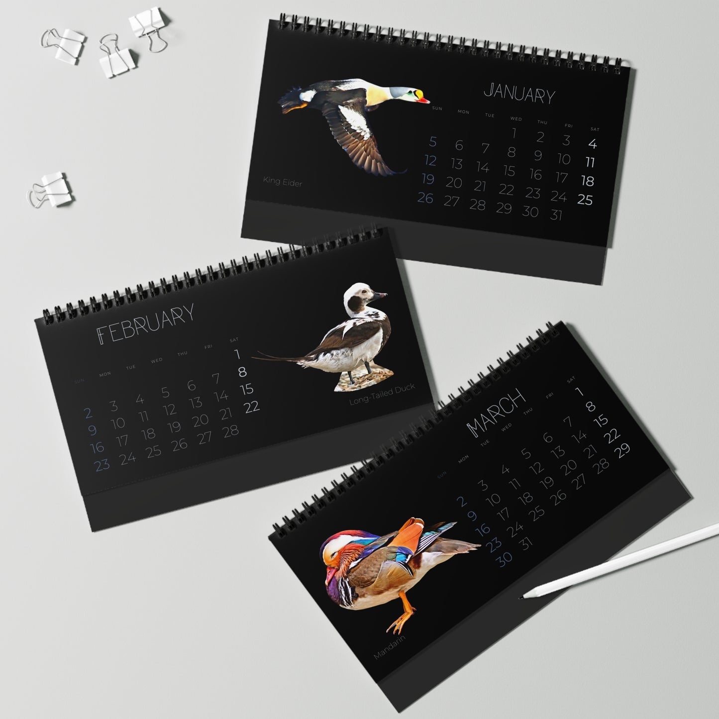 Dapper Ducks of 2025 Desktop Calendar