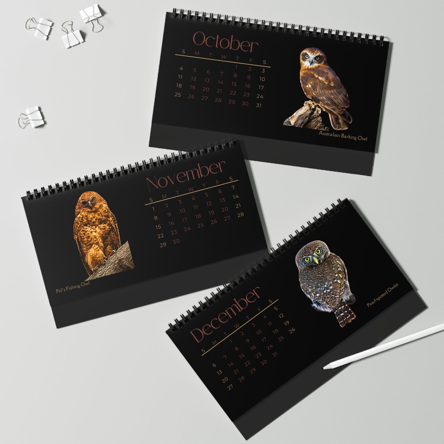 Owls of 2026 Desktop Calendar