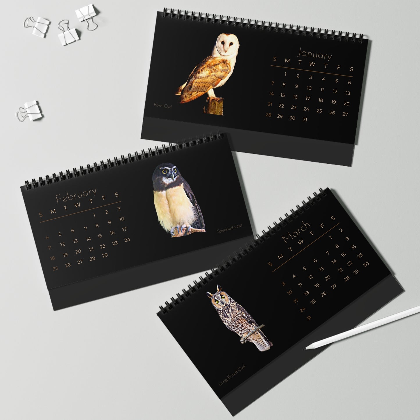 Owls of 2024 Desk Calendar