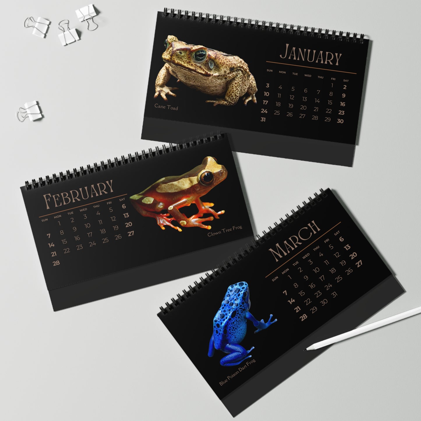 Frogs & Toads of 2027 Desktop Calendar