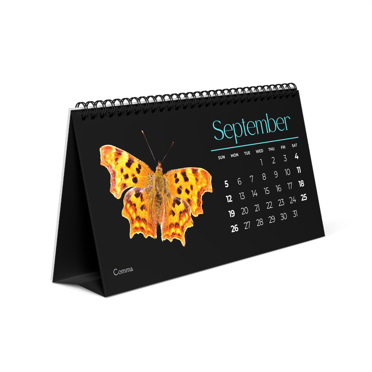 Beautiful Butterflies of 2027 Desktop Calendar