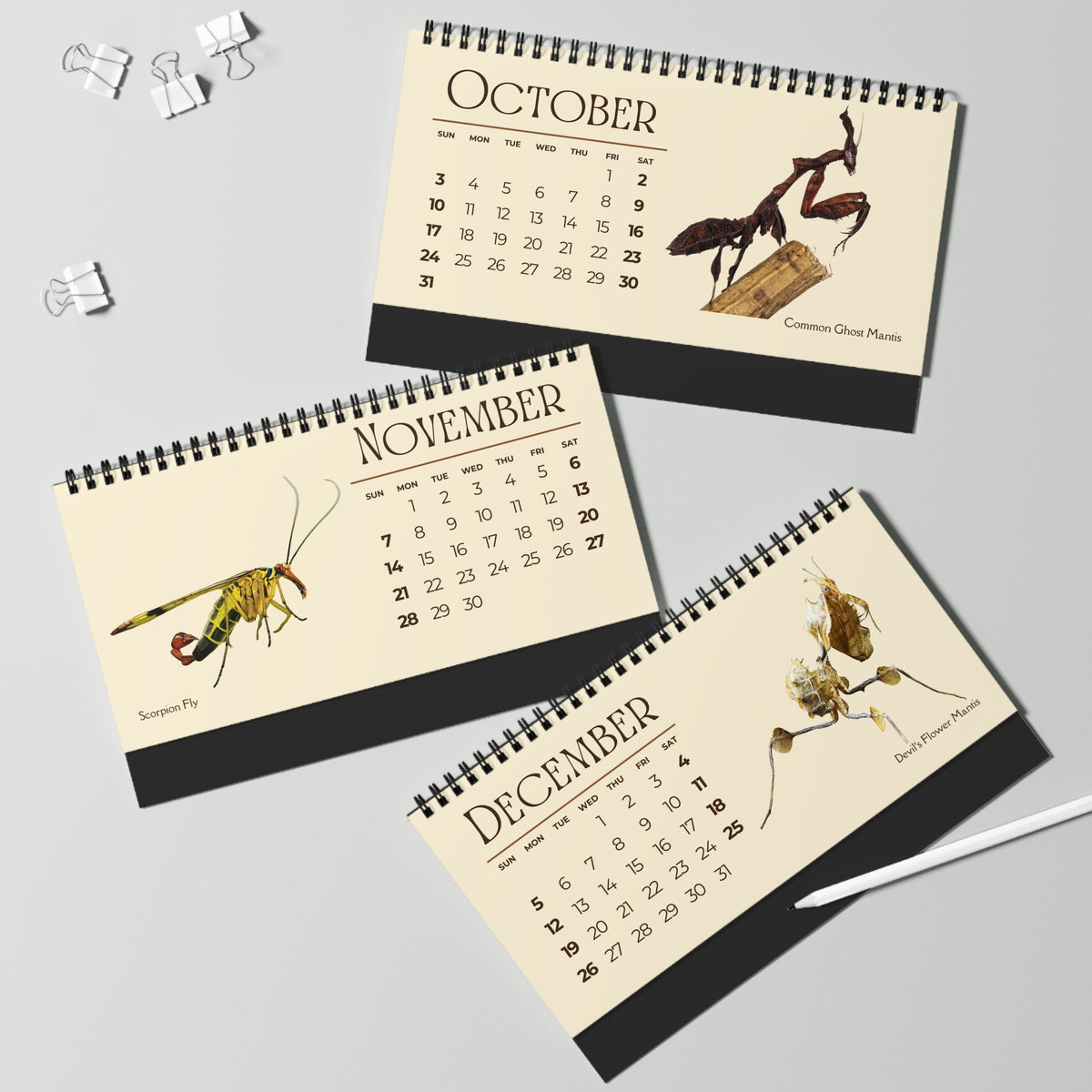 Incredible Insects of 2027 Desktop Calendar
