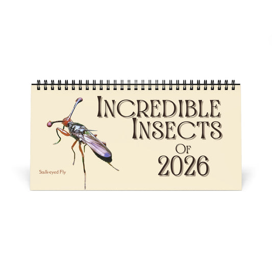 Incredible Insects of 2026 Desktop Calendar