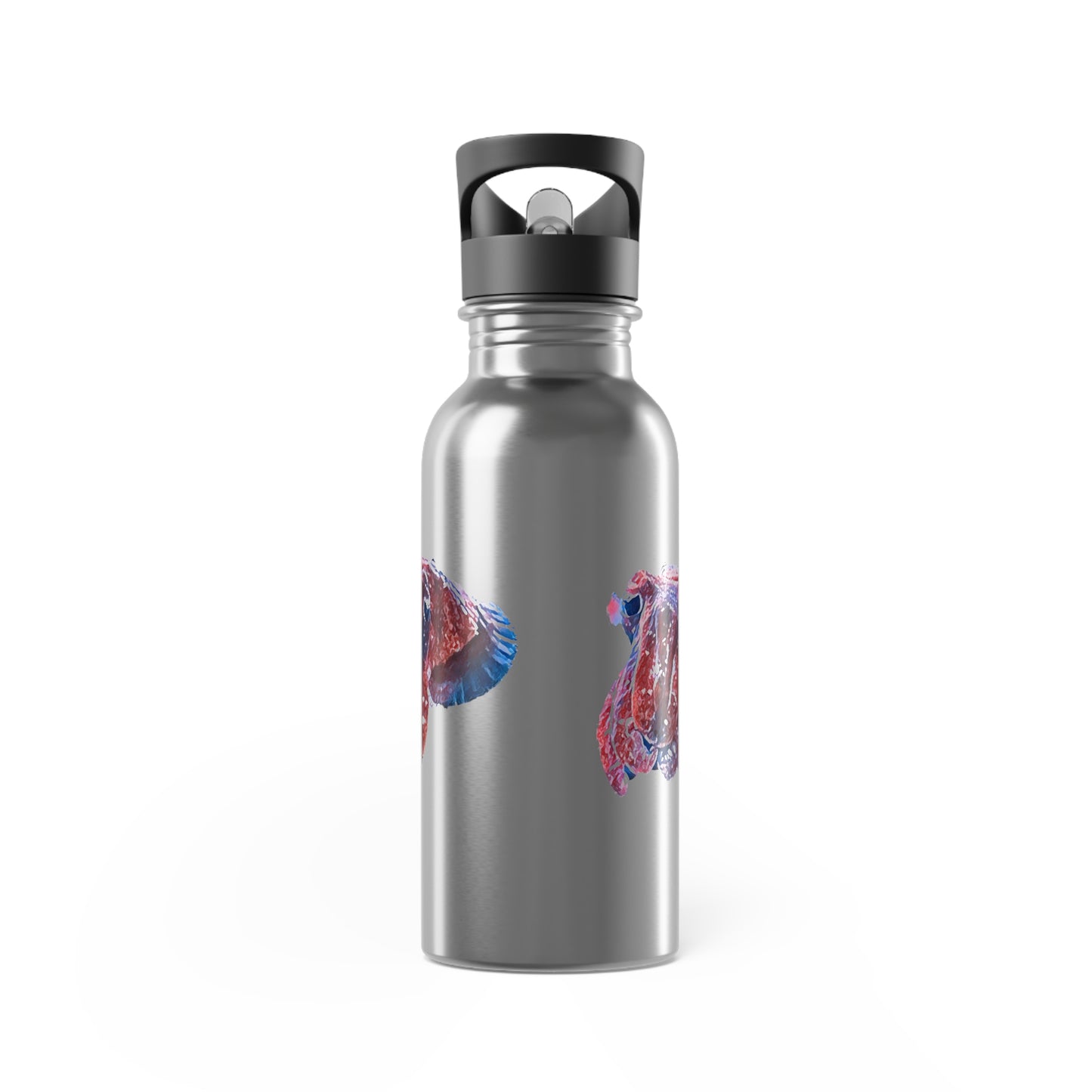 Dwarf Cuttlefish Stainless Steel Water Bottle With Straw, 20oz