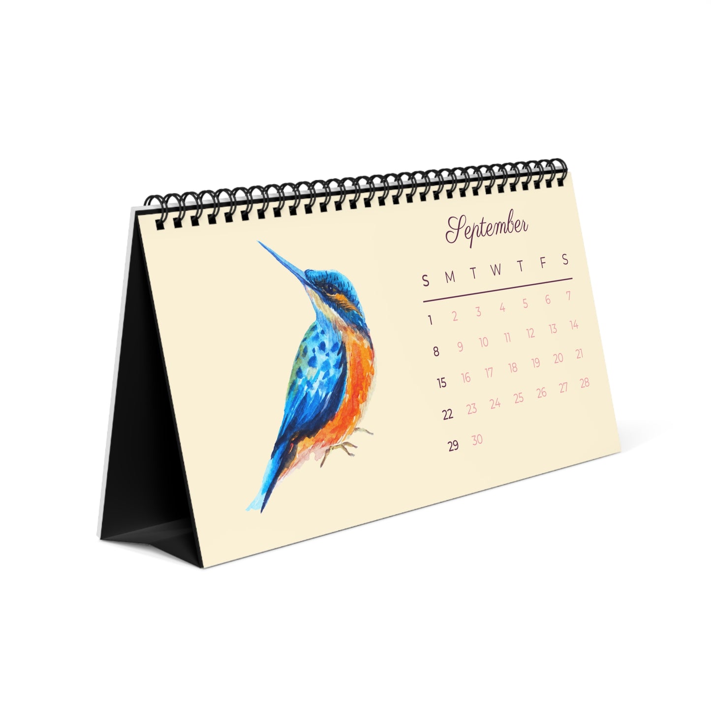 Watercolor Hummingbirds of 2024 Desk Calendar