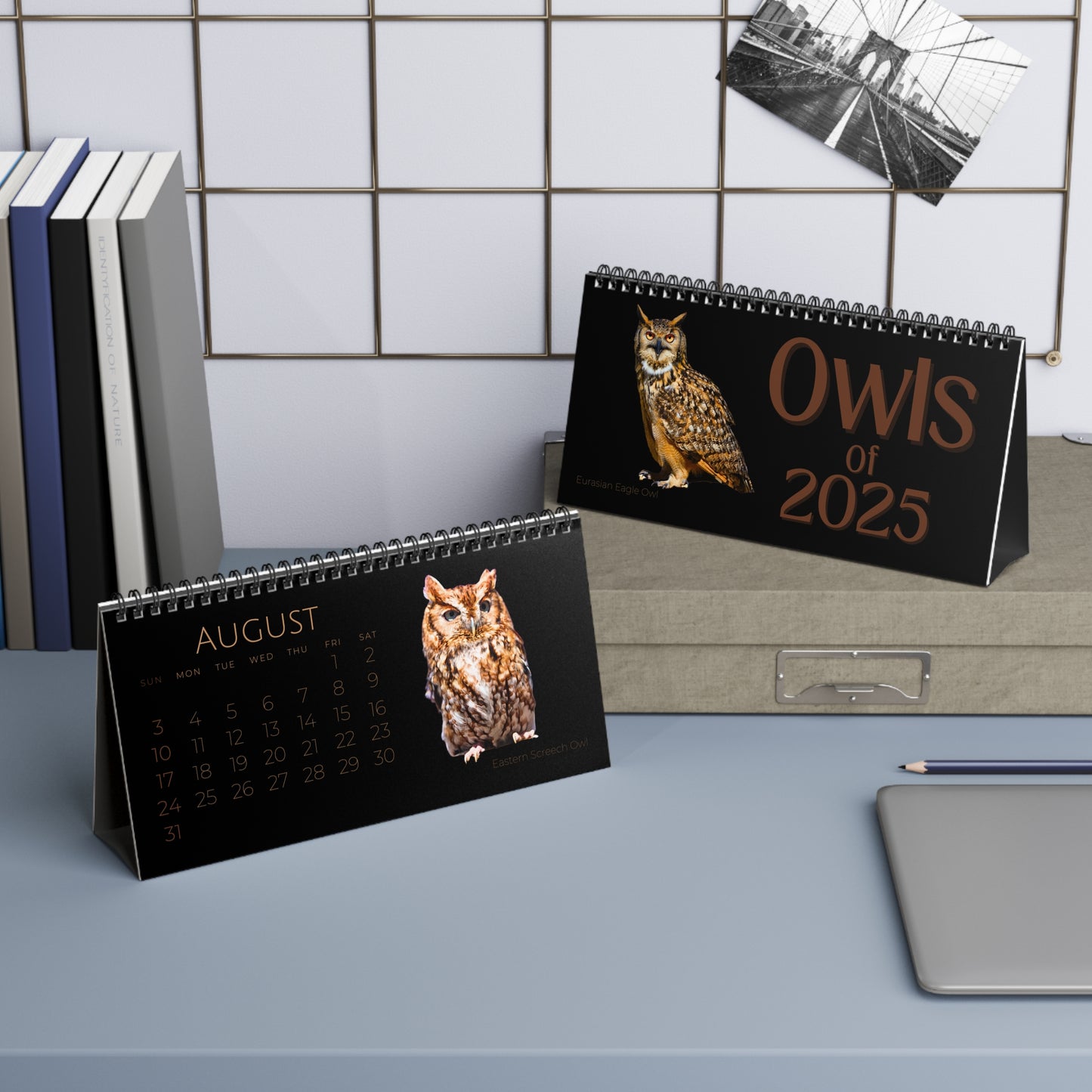 Owls of 2025 Desktop Calendar